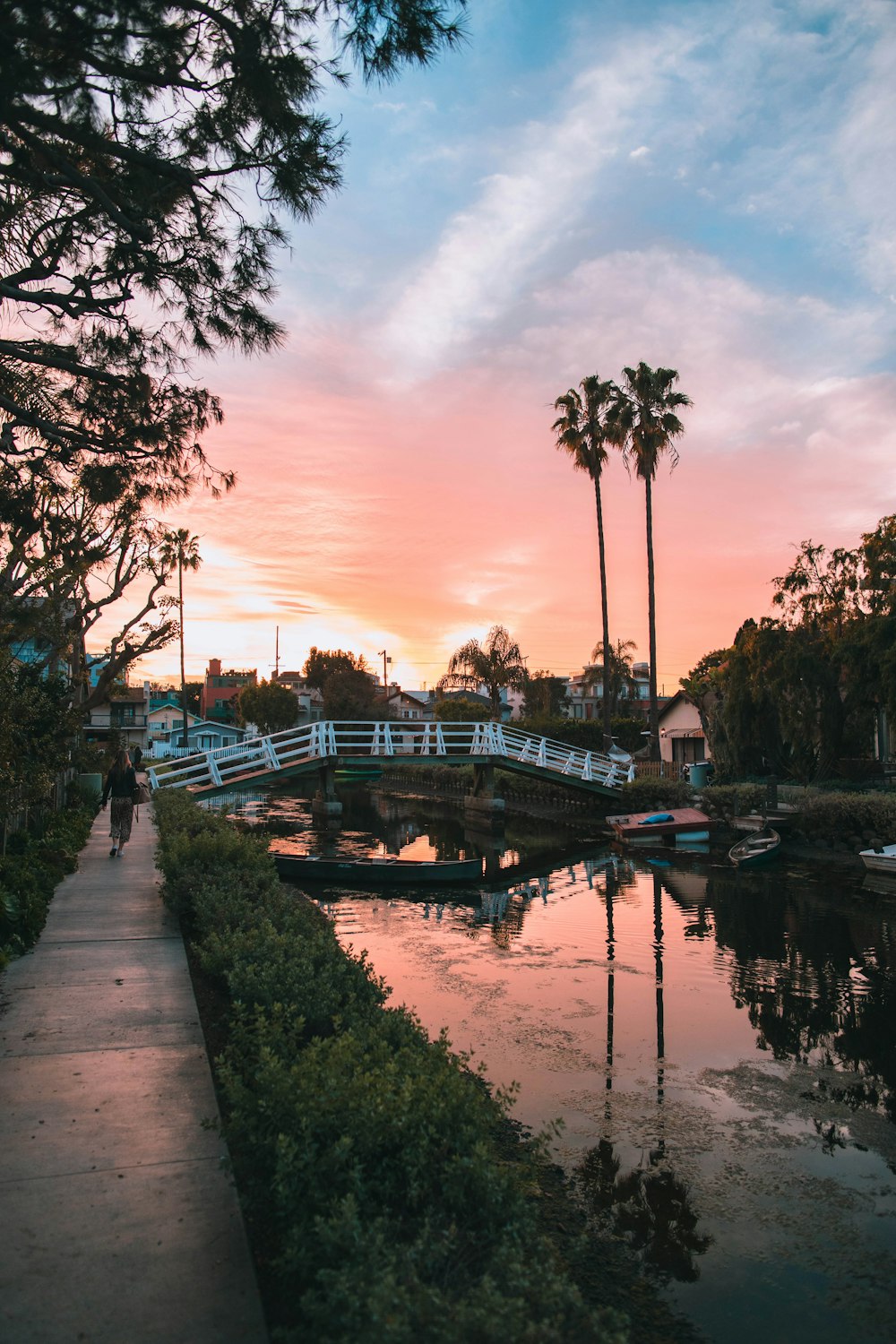 selective photography of white and brown bridge at golden hour