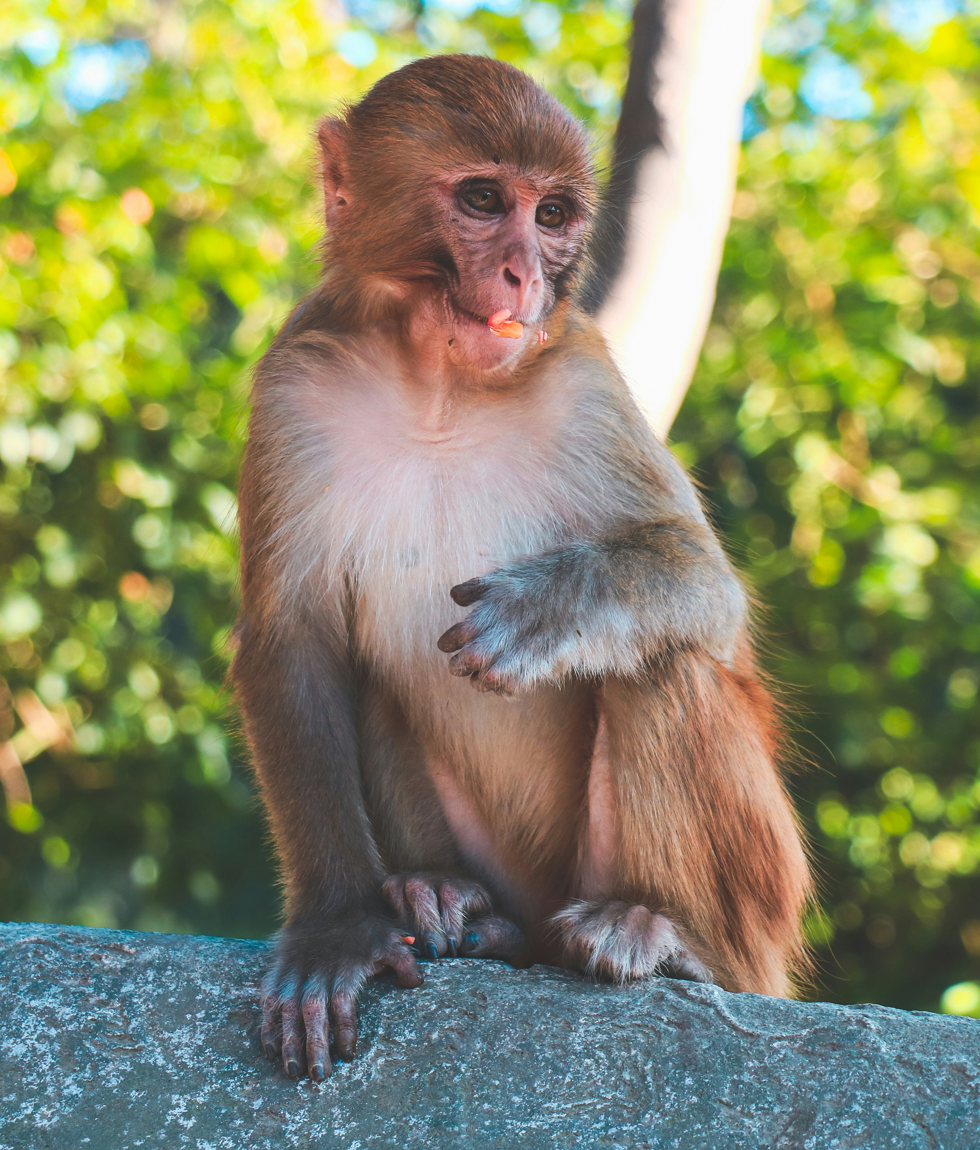 Photo by maskedemann