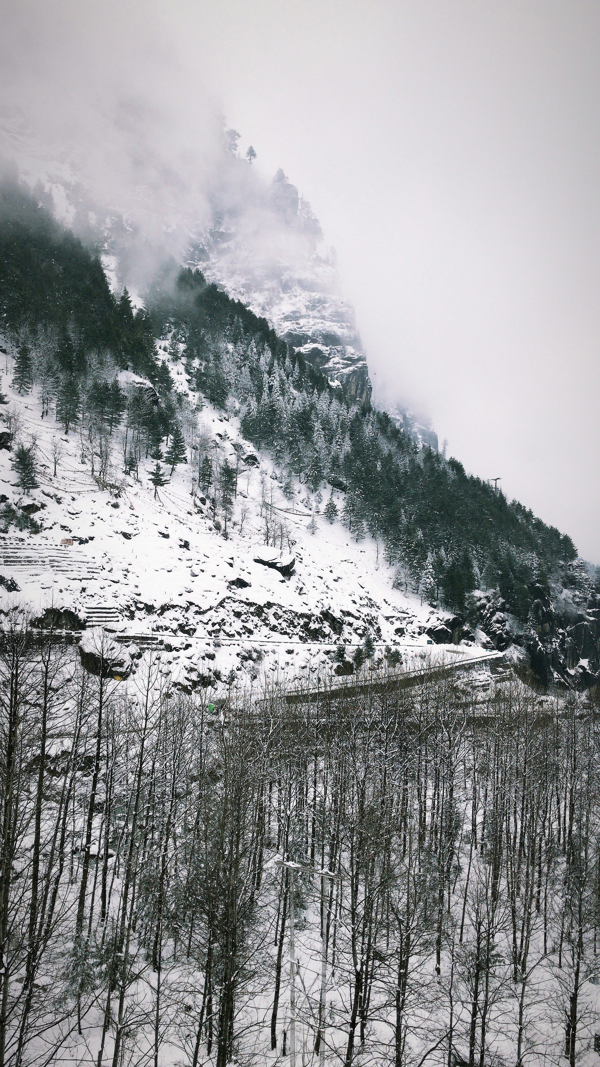 Photo by subhan_kazi7