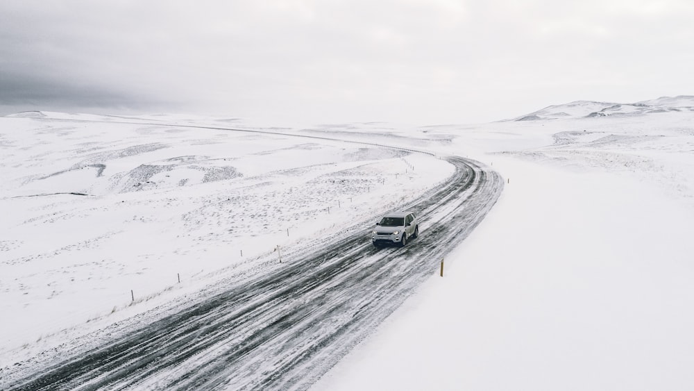 white vehicle on road