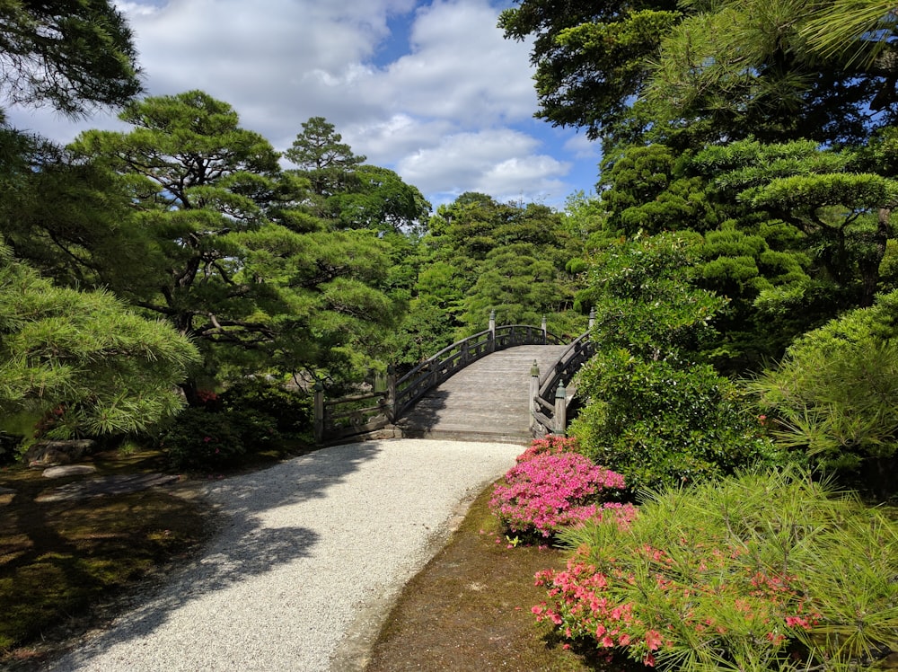 曇り空の下、木々に囲まれた茶色の橋