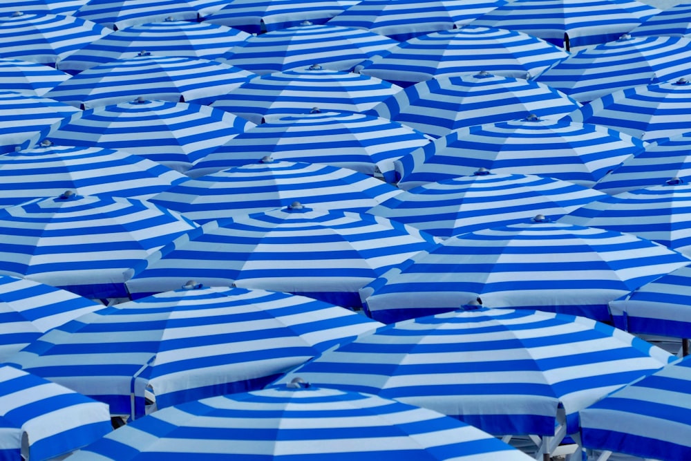 blue umbrellas