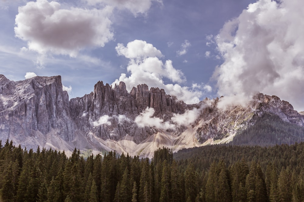 mountain rangers with and trees