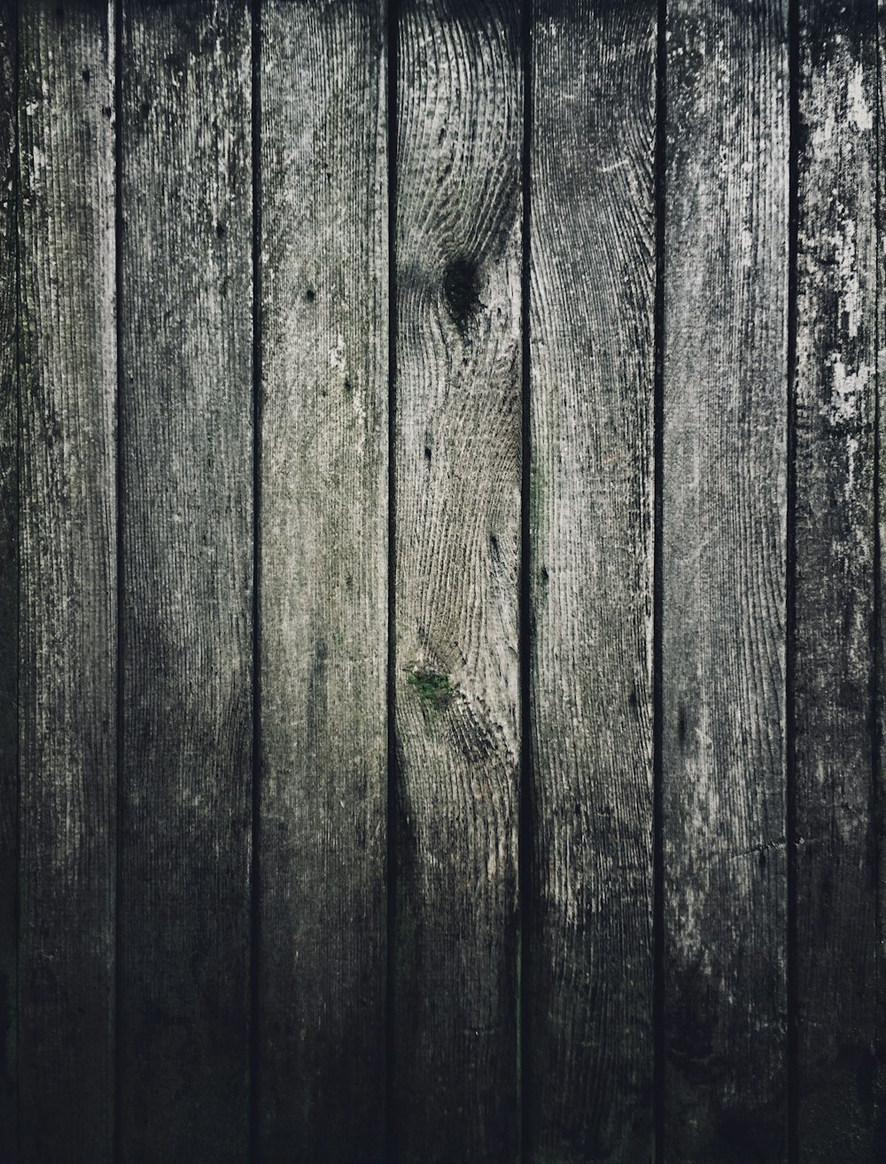 planches de bois en niveaux de gris photographie