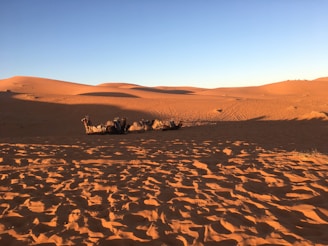 Desert Safari in Merzouga Morocco: What to Expect.