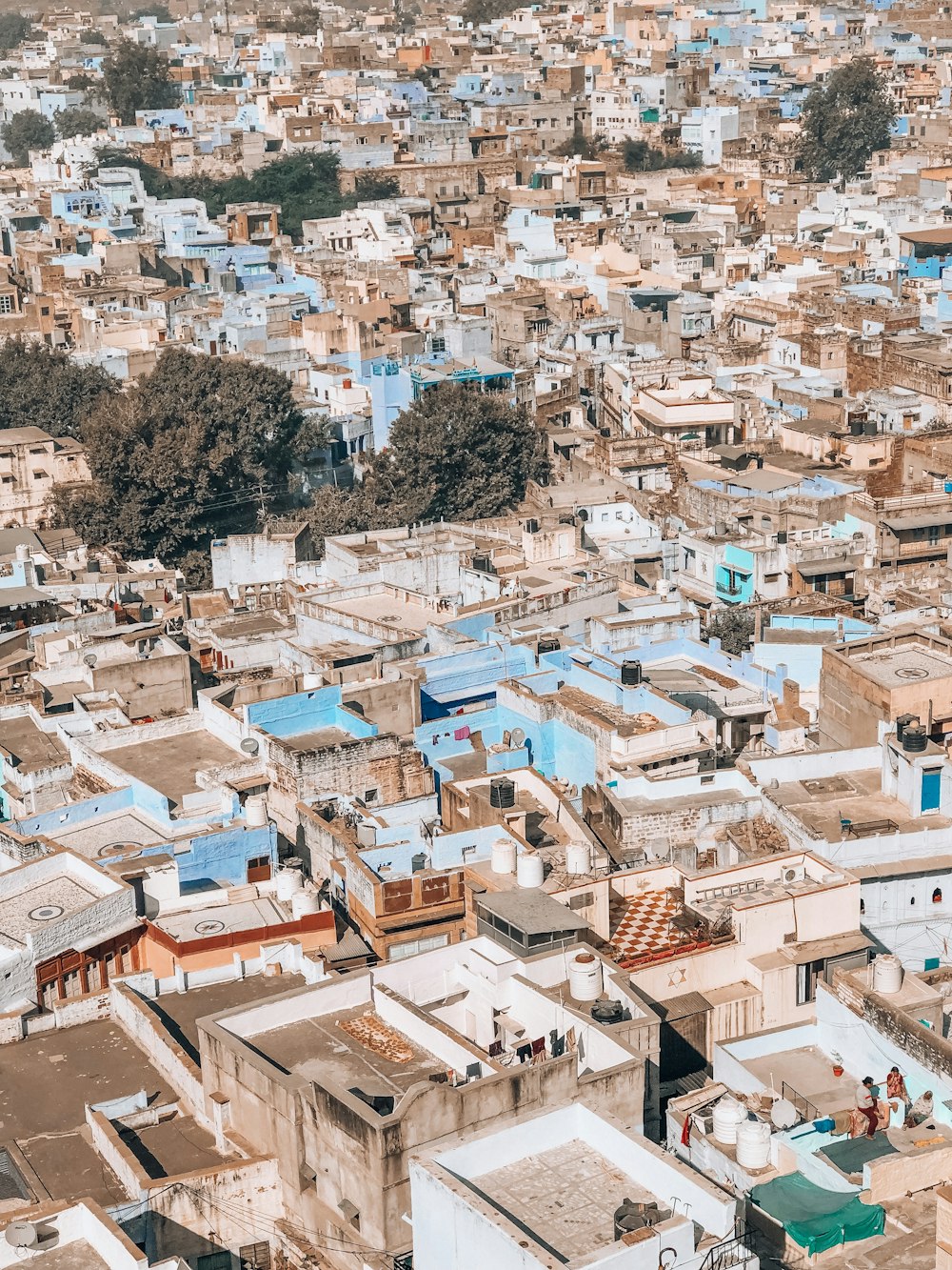 houses during daytime