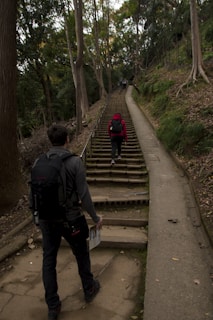 A wooded area with a narrow pathway and steep stone steps leading uphill, surrounded by tall trees. Two individuals are hiking up the steps; one is nearby, wearing a backpack and holding a map, and another is further ahead in a red jacket.