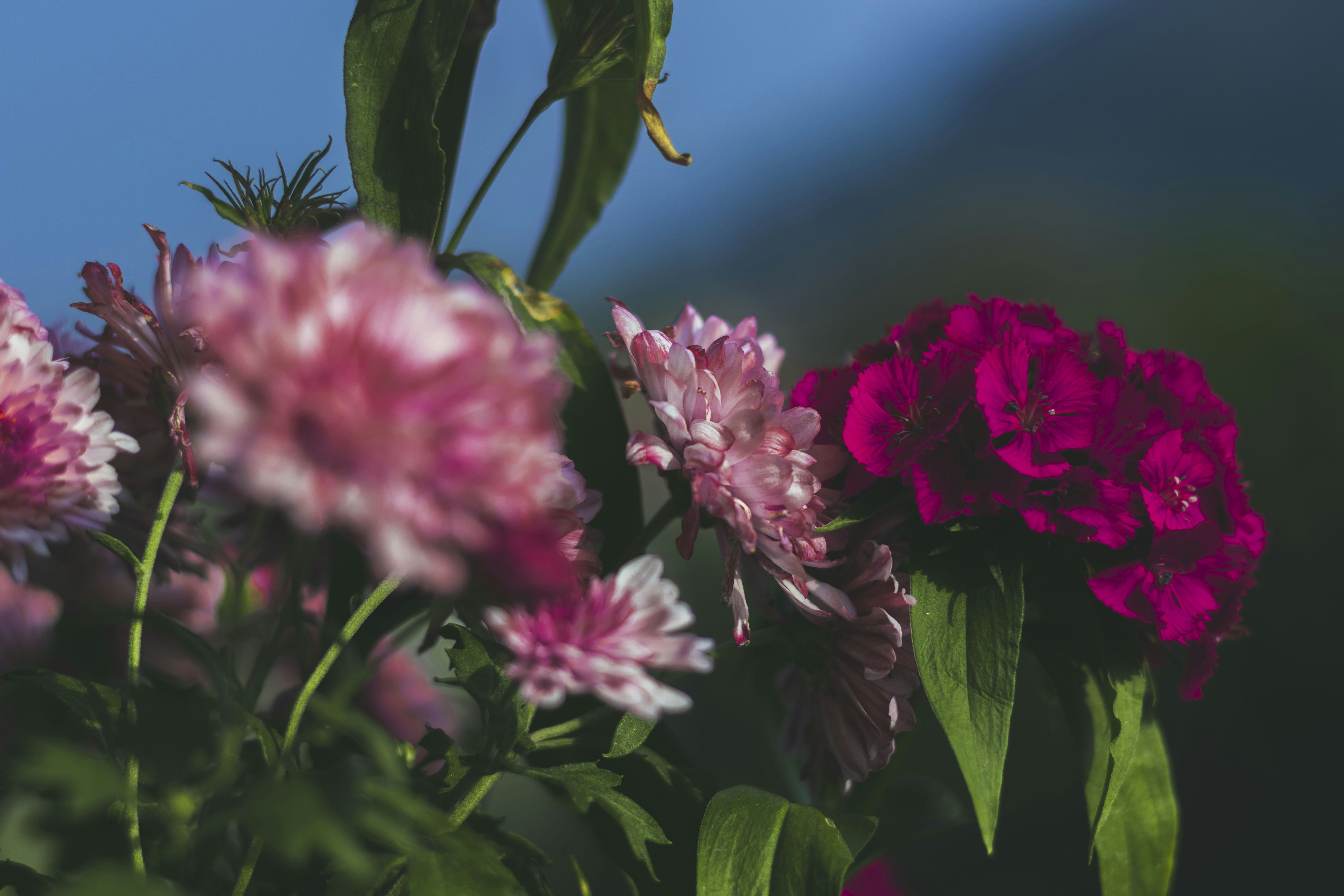 Photo by devasangbam