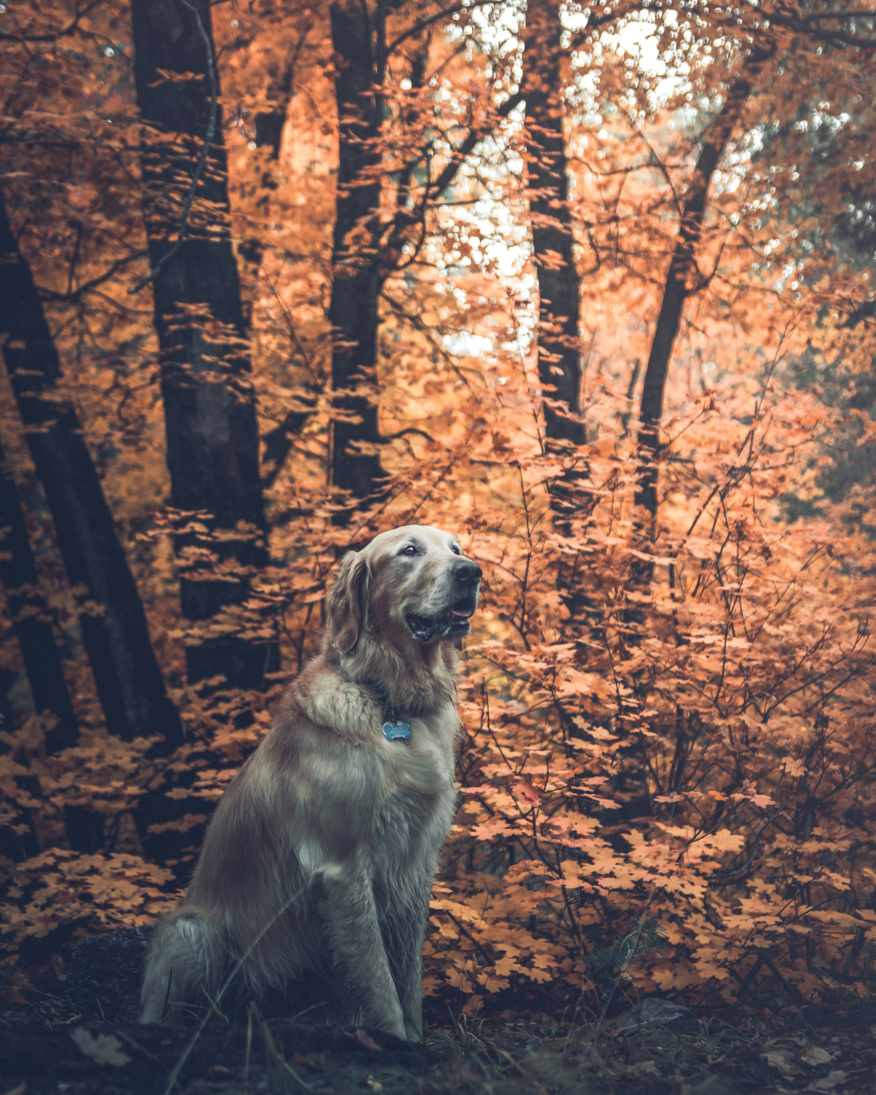 Photo by alienaperture