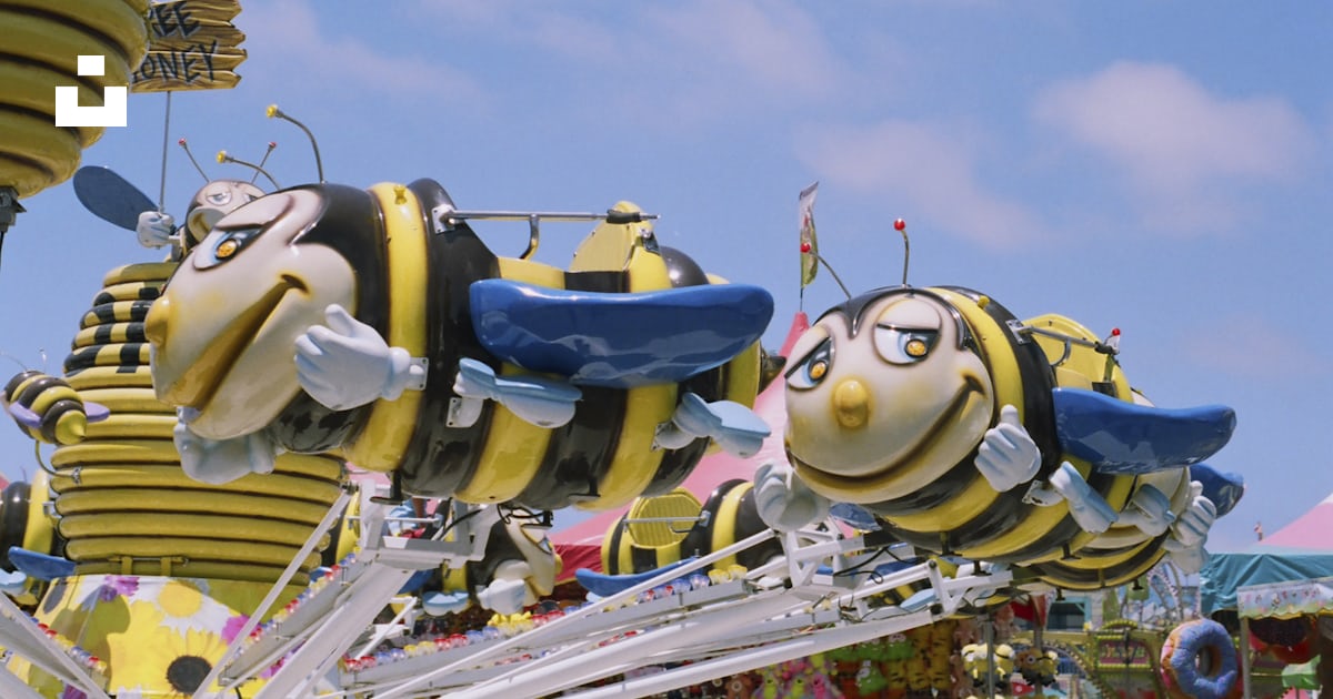 Close-up photography of bee ride-on photo – Free 35mm Image on Unsplash