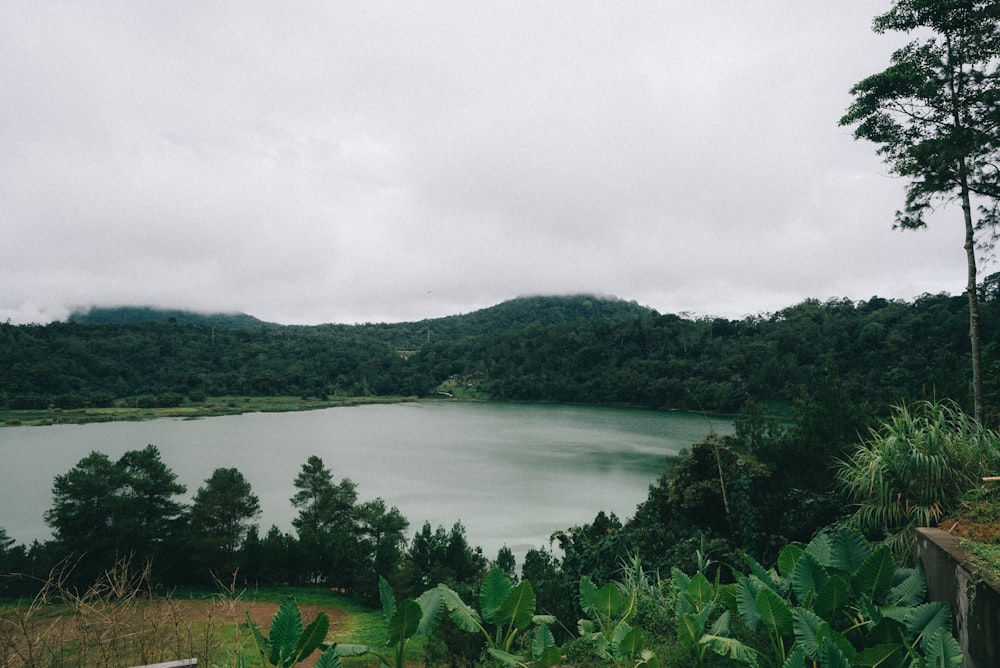 grey cloudy sky over lake lined with trees