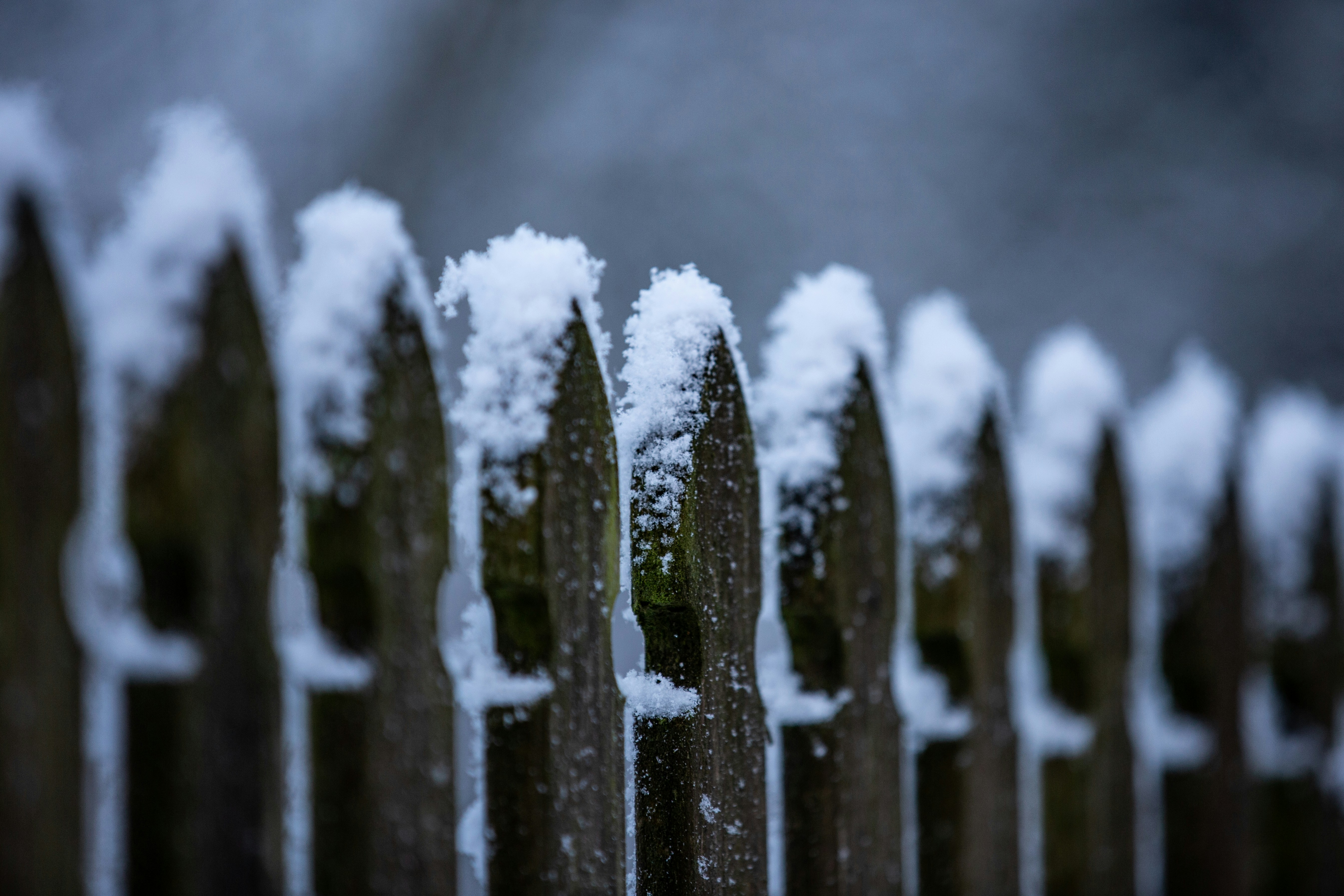 snow coated brown wooden fence