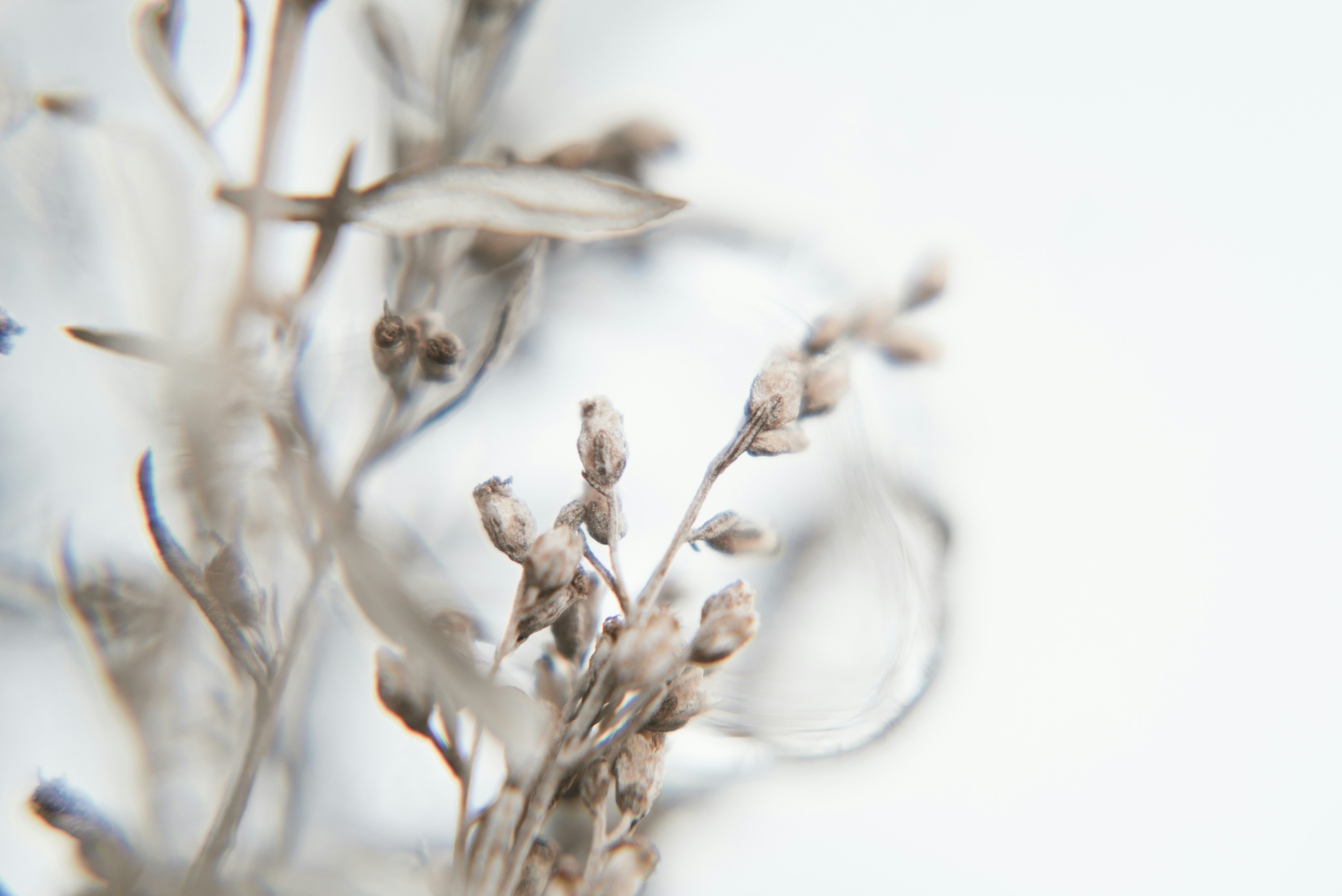 Photo by evieshaffer