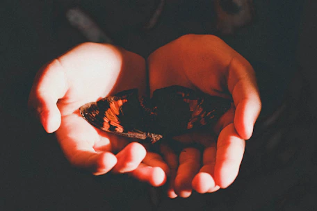 Close-up of hands gently adjusting a delicate butterfly sculpture symbolizing transformation.