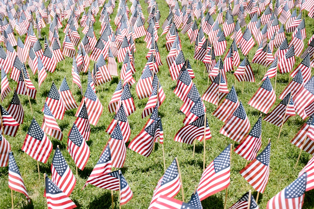 Flagge des U.S. Lots