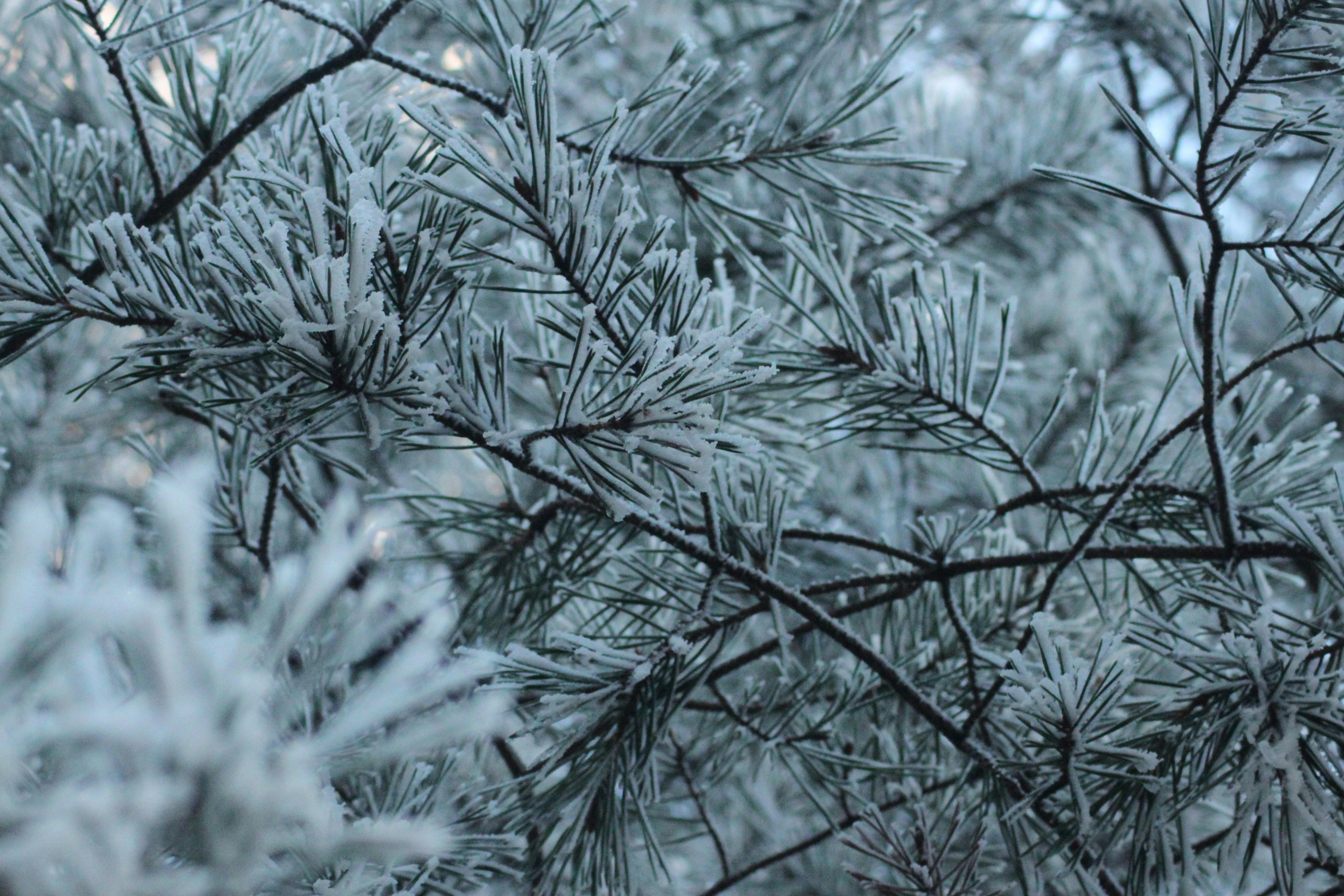 Photo by daan_kooistra