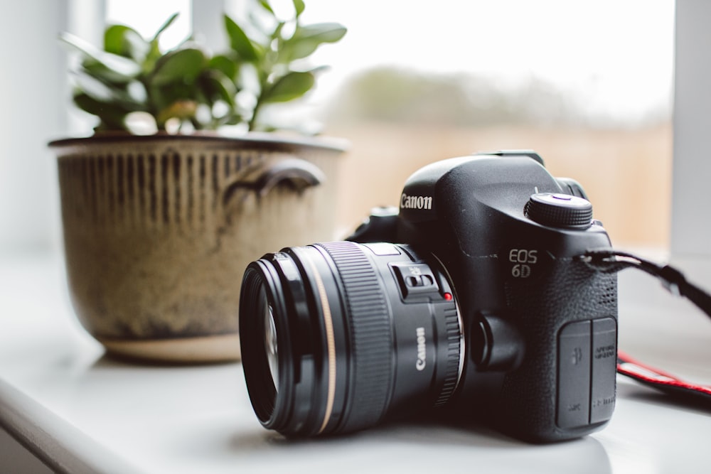 fotocamera reflex digitale Canon EOS 6D nera vicino a una pianta in vaso verde durante il giorno
