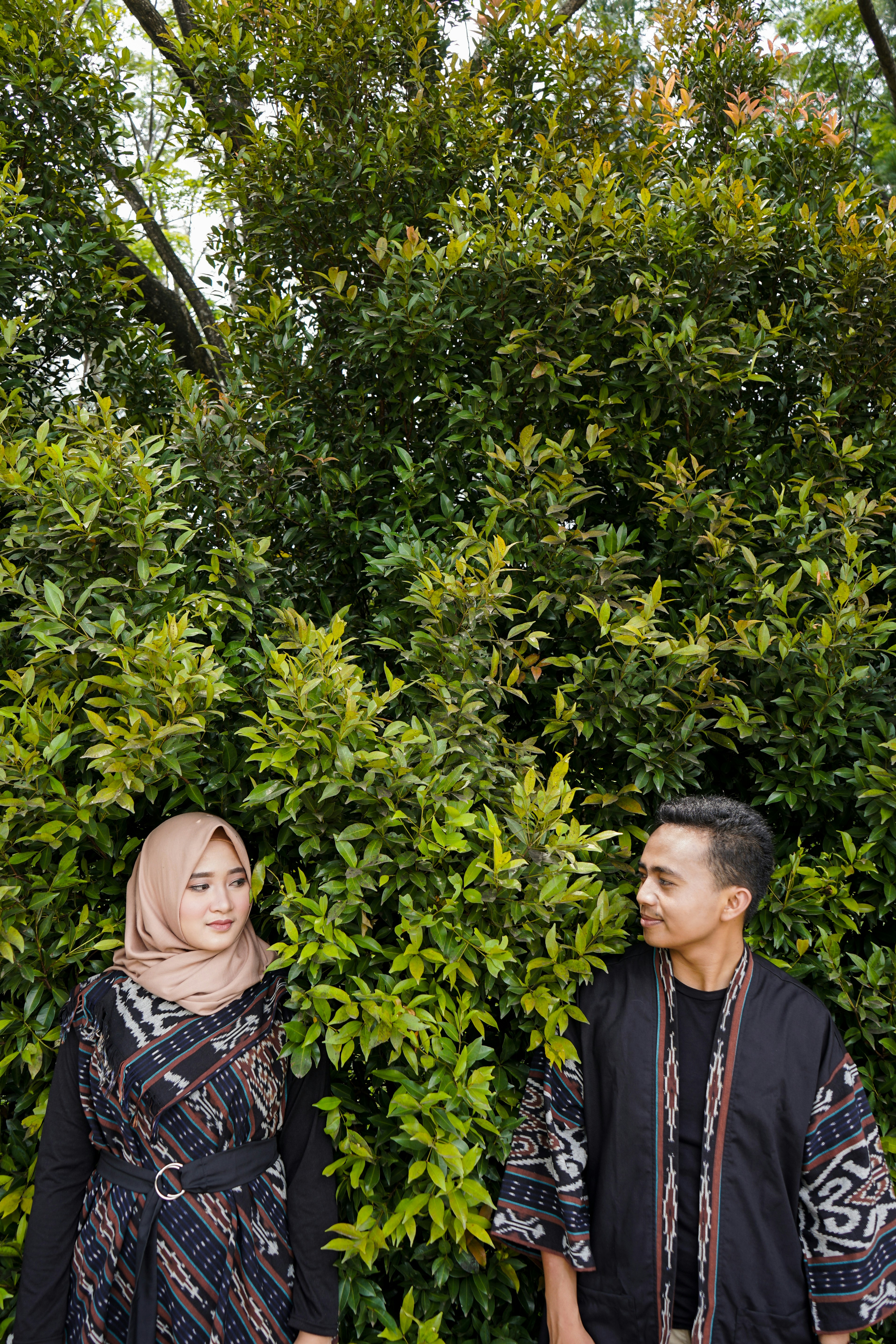 爱情悠悠药草香免费版，爱情悠悠药草香免费版电视剧