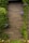 A wooden wall serves as the backdrop, with lush green plants climbing up its sides. The plants feature vibrant purple flowers, adding a pop of color to the scene. The base of the wall is lined with small stones and grass, creating a natural setting.
