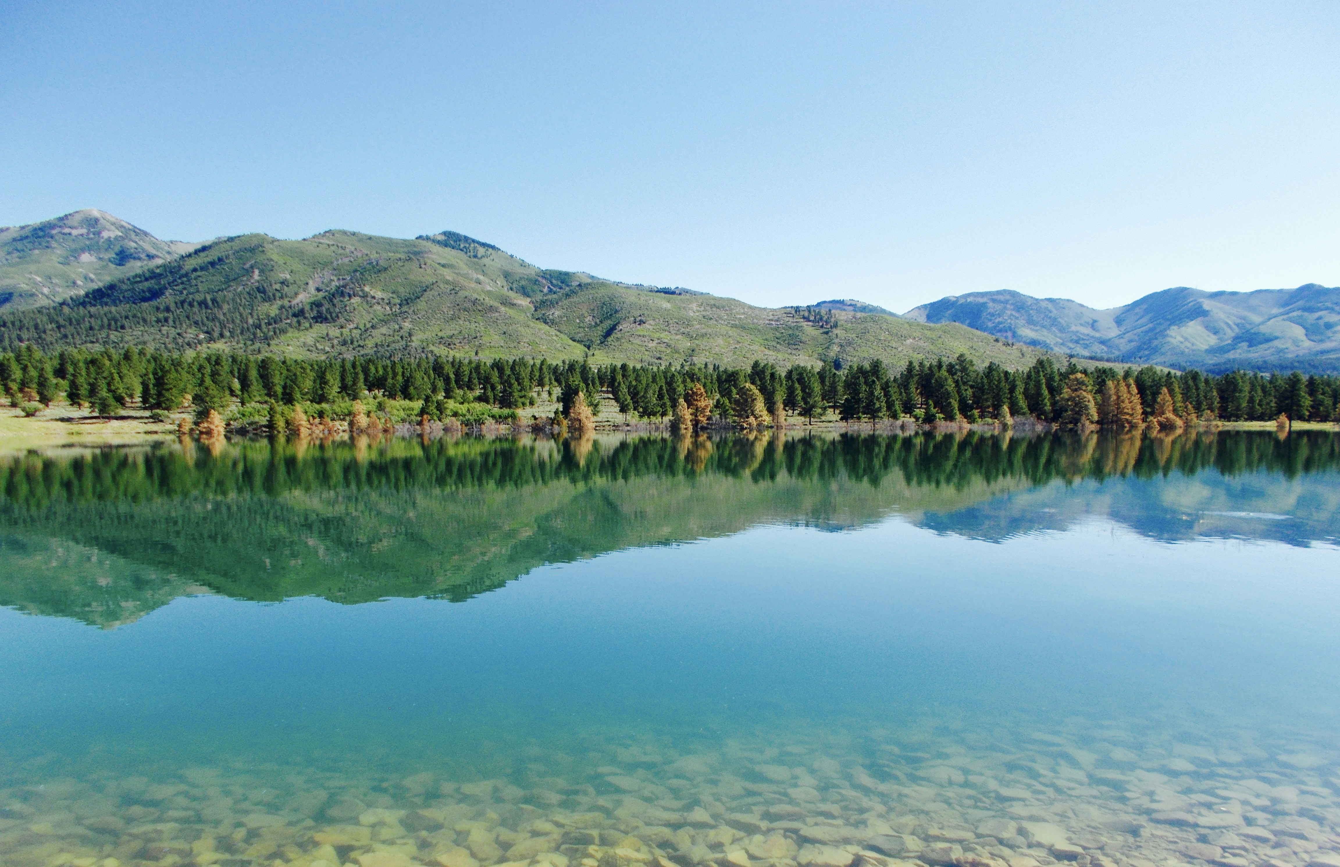 Photo by zach_tilford