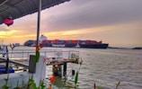 A large cargo ship is moving across a body of water, loaded with multicolored shipping containers. In the foreground, a wooden dock and some vibrant orange and green plants add a splash of color. The sky is overcast with a mix of gray clouds and a golden sunset.