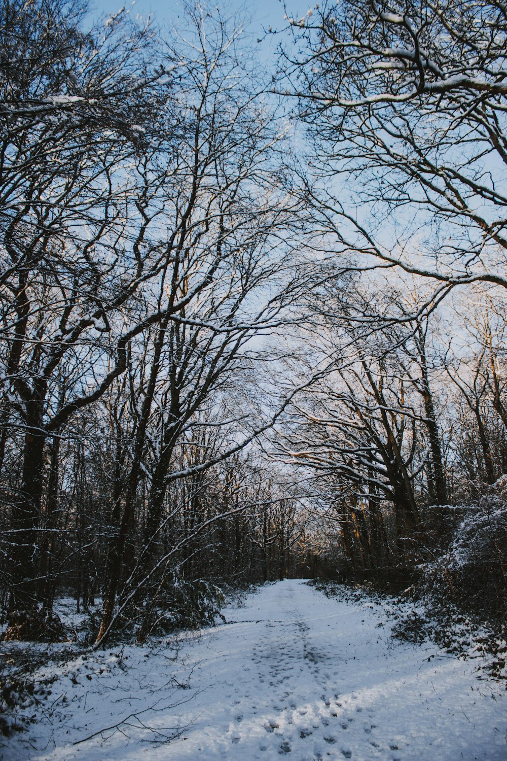 pathway covered with snow during daytime