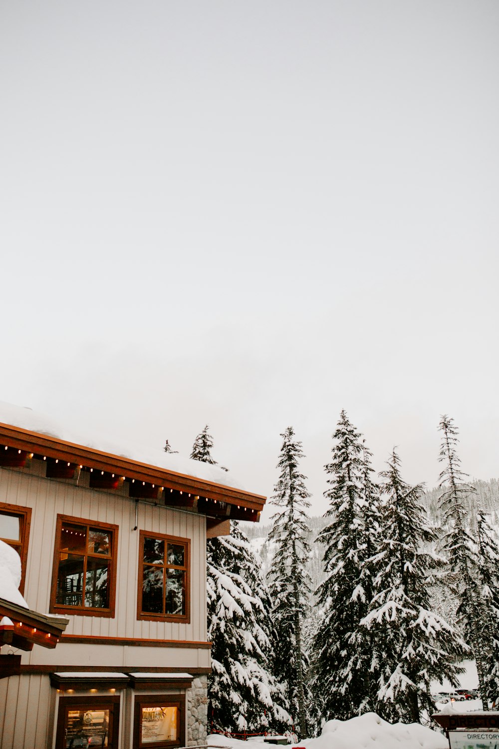 white and brown house near tree