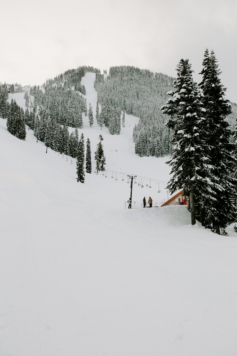 snow field under white clouds