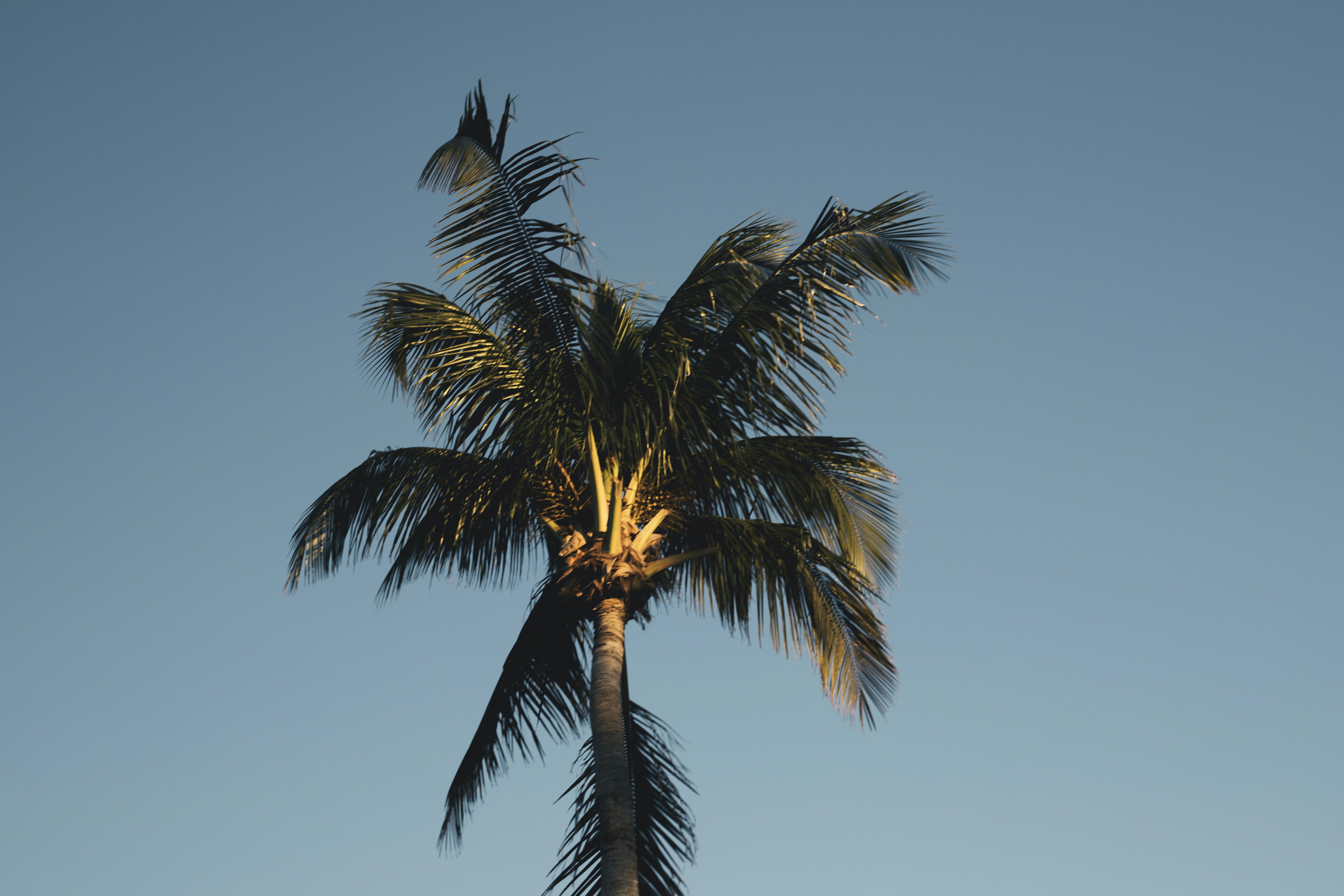 Photo by danielmarquez1