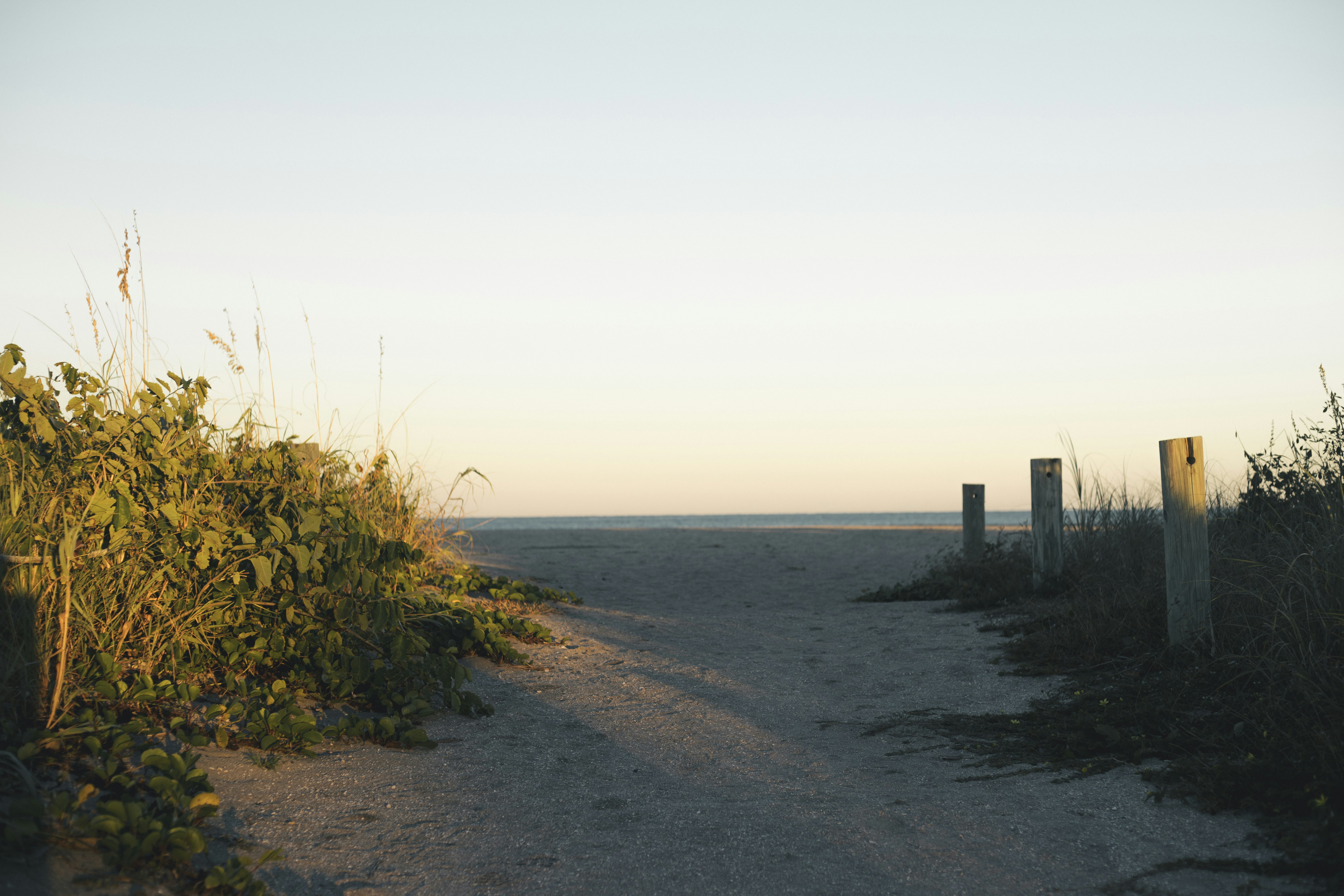 Photo by danielmarquez1