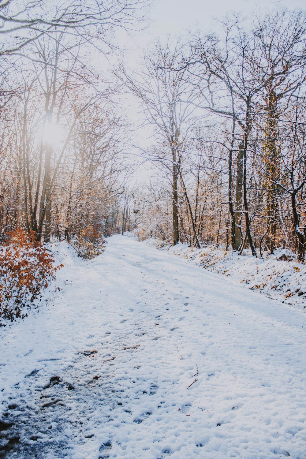 open field covered with snow