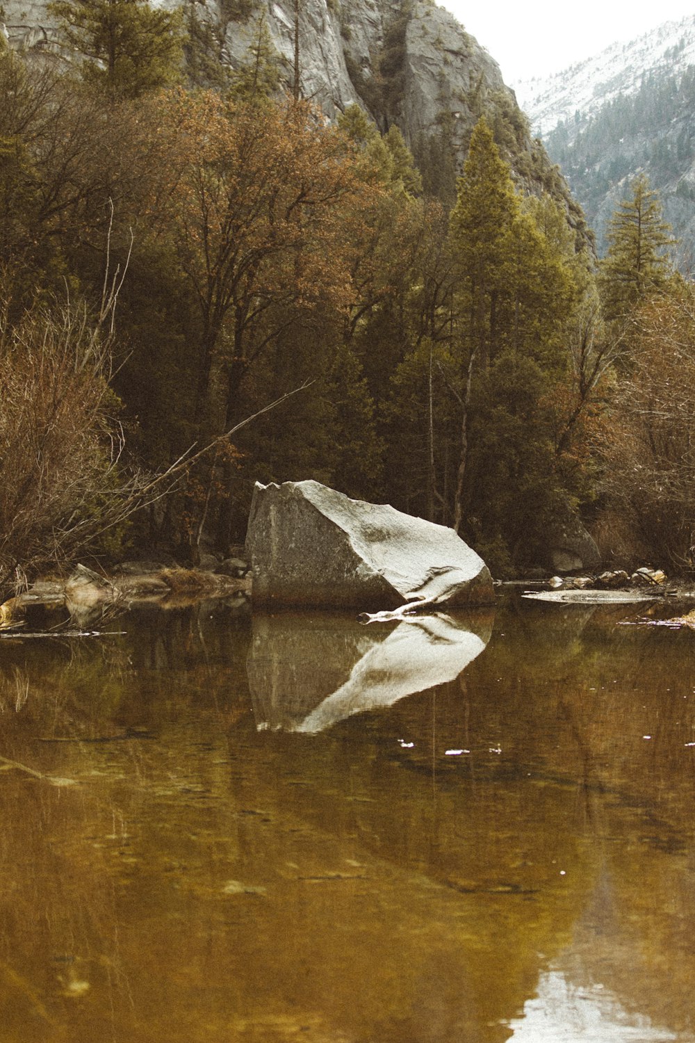 landscape photography of grey stone and trees reflecting on body of water