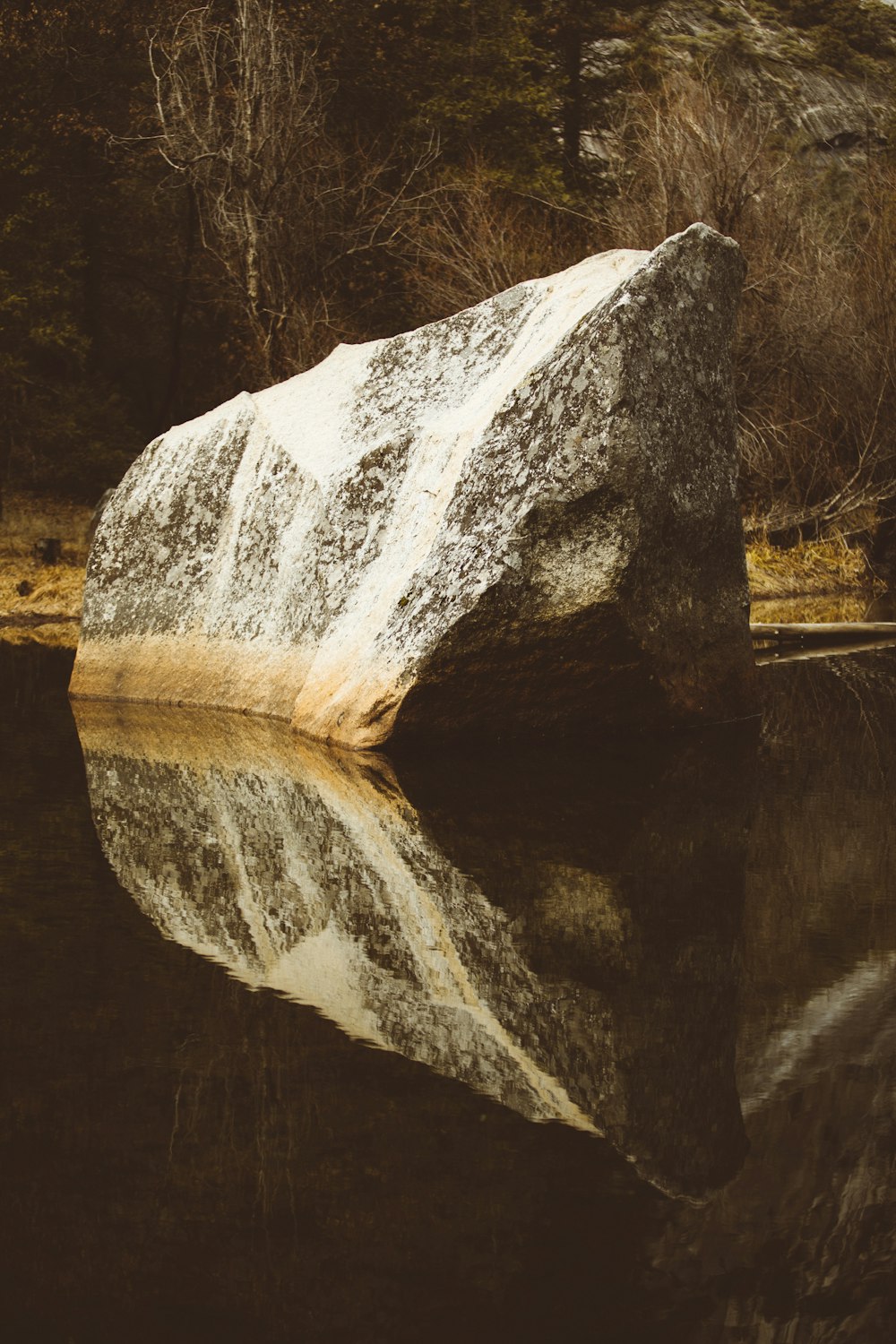 gray rock formation at river beside leafless tree