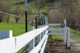 A white wooden fence extends into the distance along a rural path, with a barbed wire running along the top. Lush green fields and blurred trees create a peaceful countryside setting.