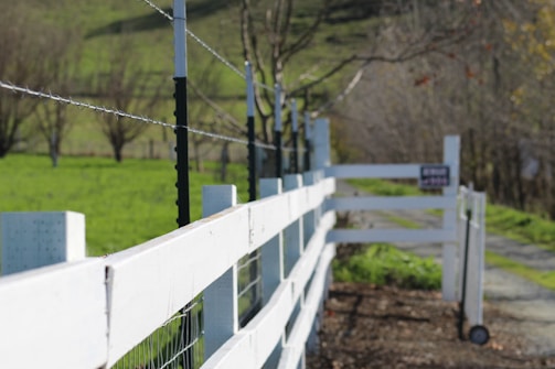 A white wooden fence extends into the distance along a rural path, with a barbed wire running along the top. Lush green fields and blurred trees create a peaceful countryside setting.