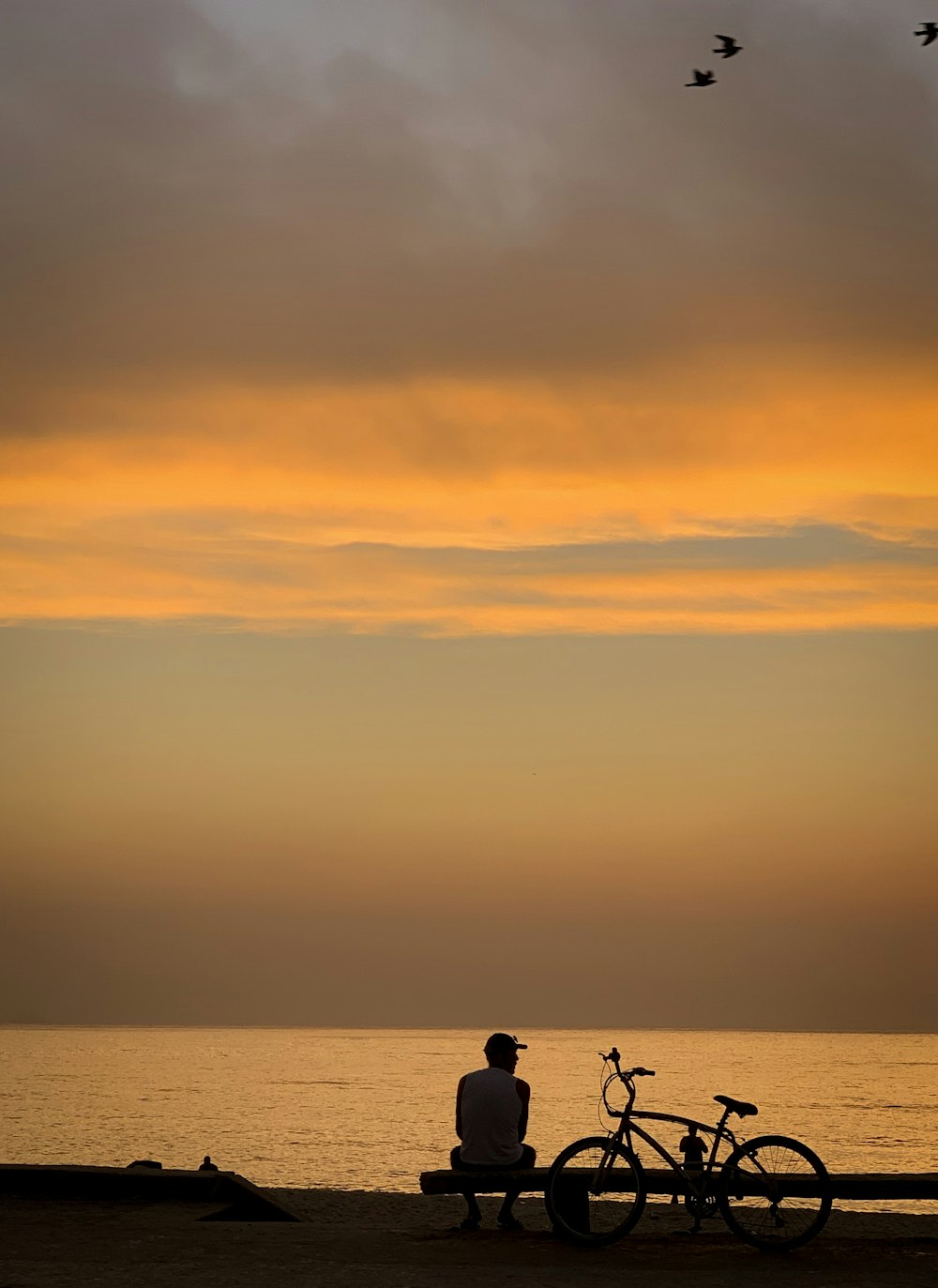man sitting near bike at sunset