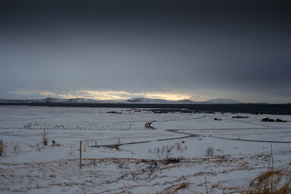 snow field