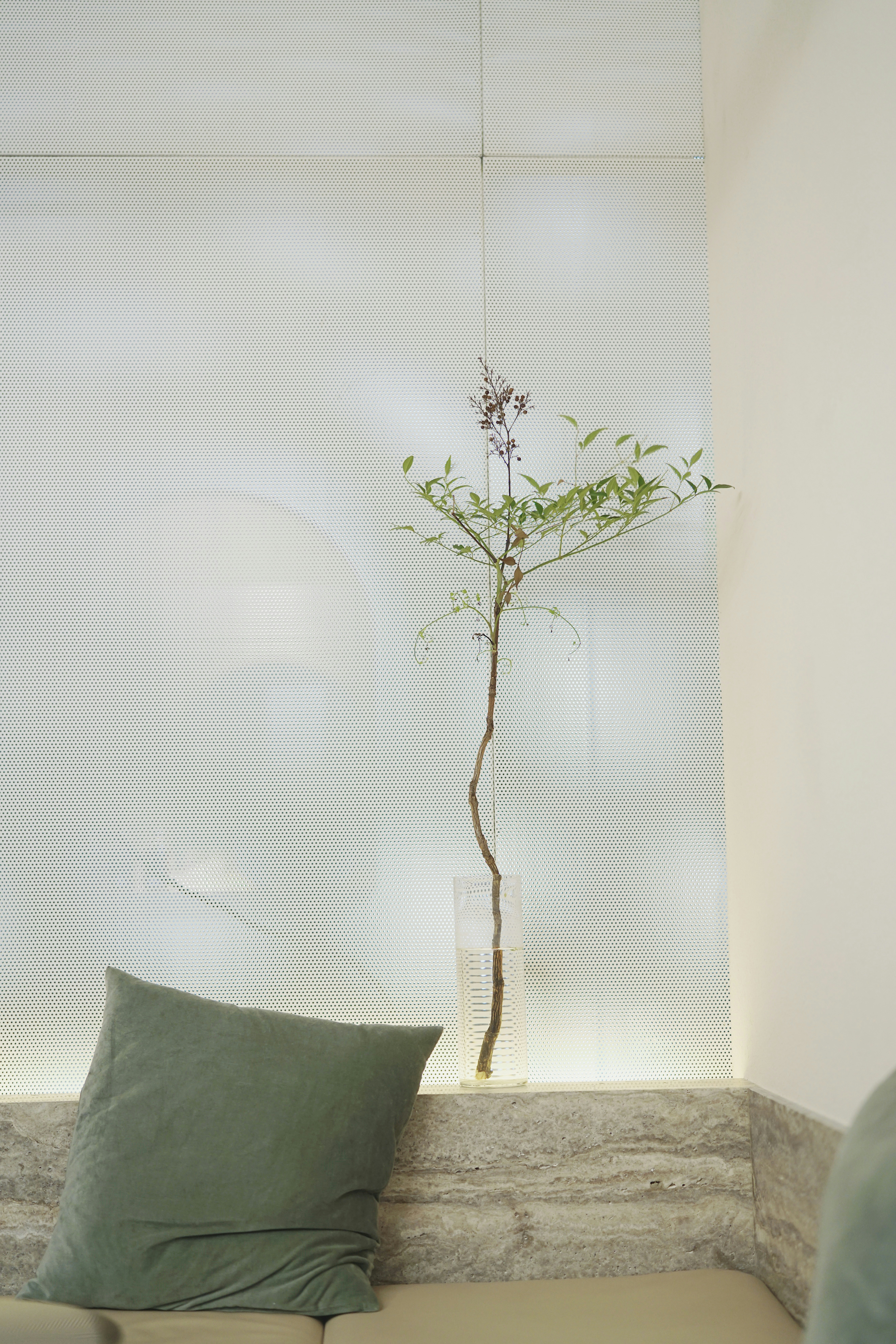 Photo by artemis_lyu