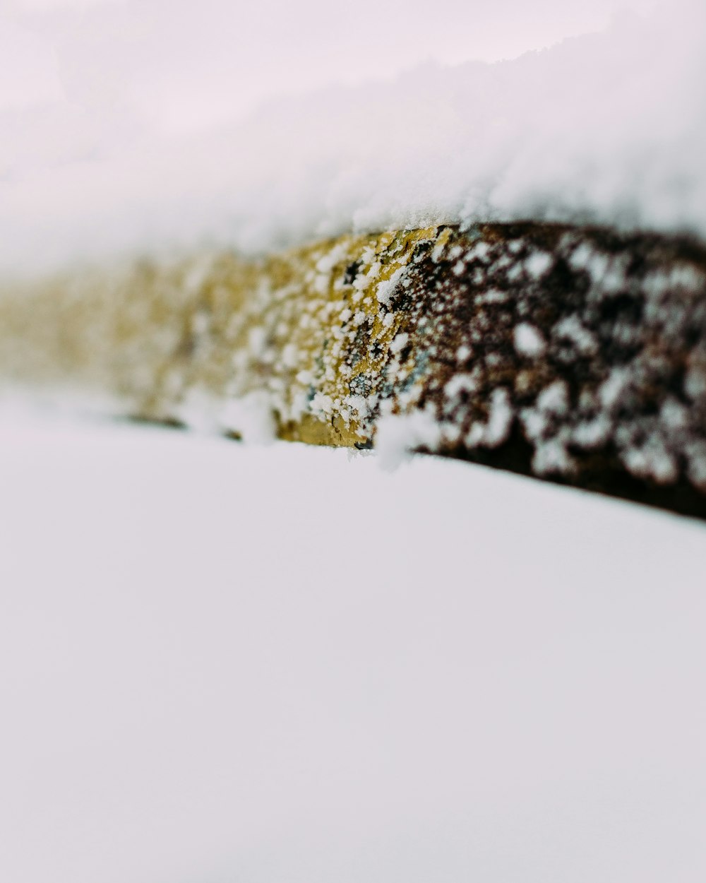 selective focus photo of snow flakes