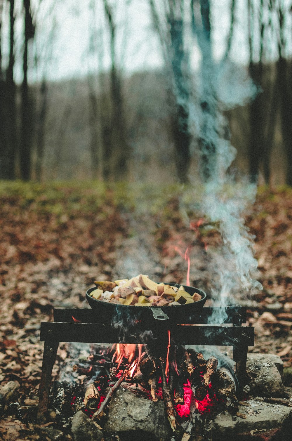 food being cooked no cast iron pan