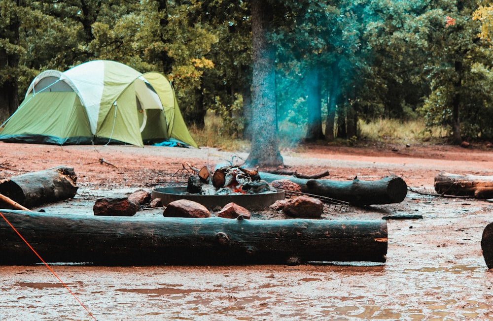 bonfire surrounded by logs near white and green tent during daytime