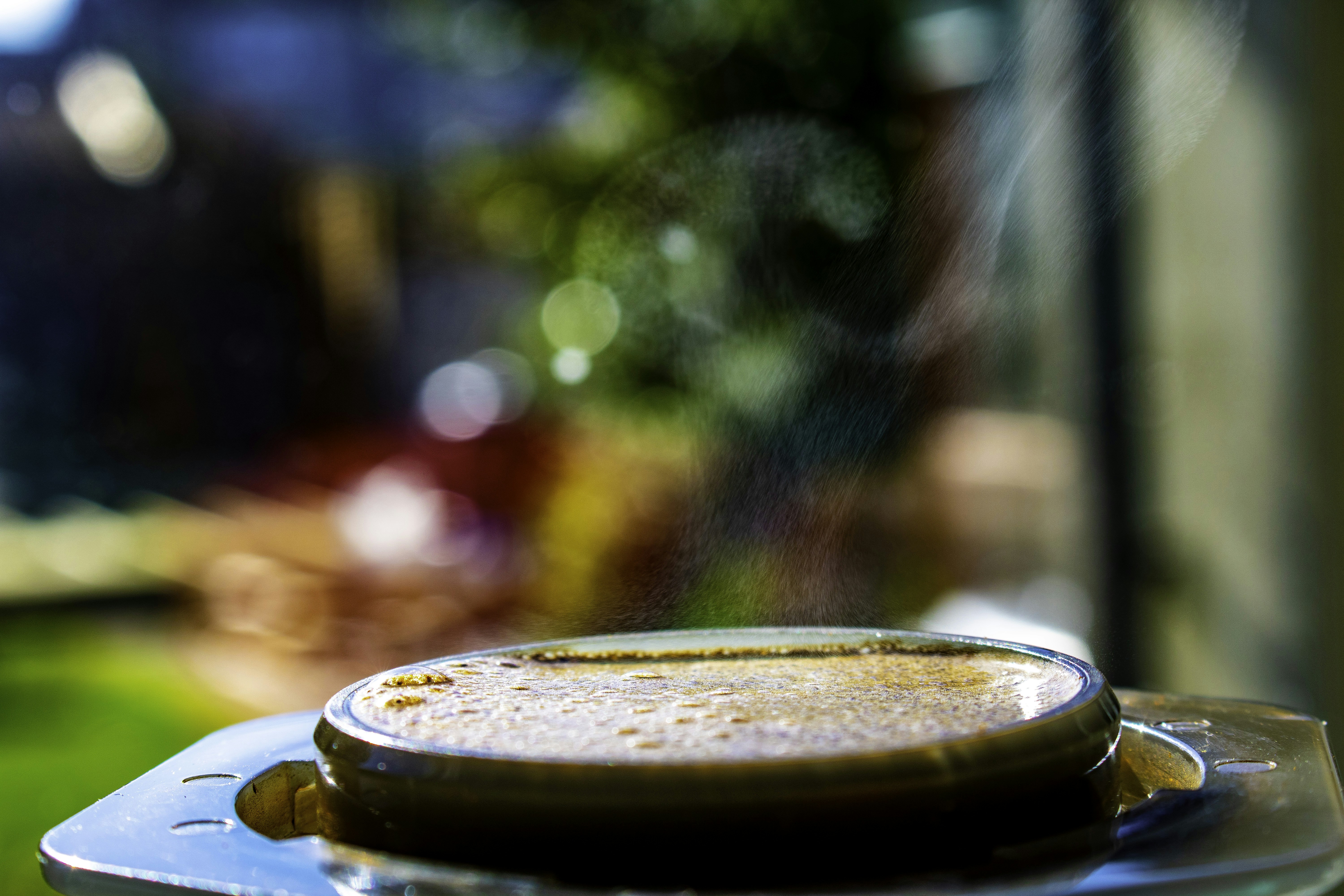 Understanding Aperture and Depth of Field in Food Photography