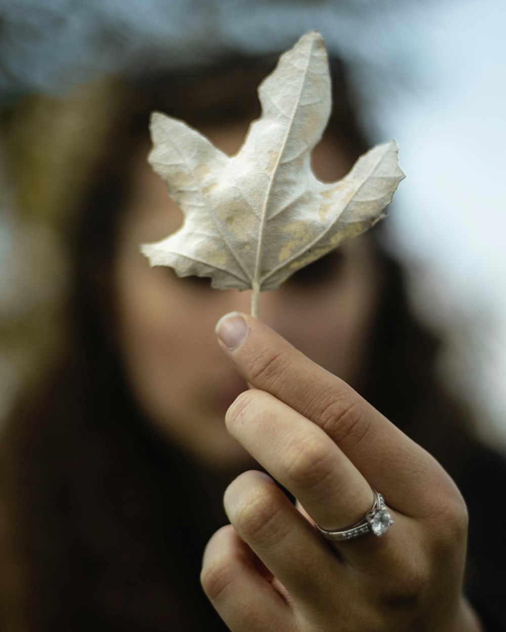 shallow focus photo of woman holding maple leaf