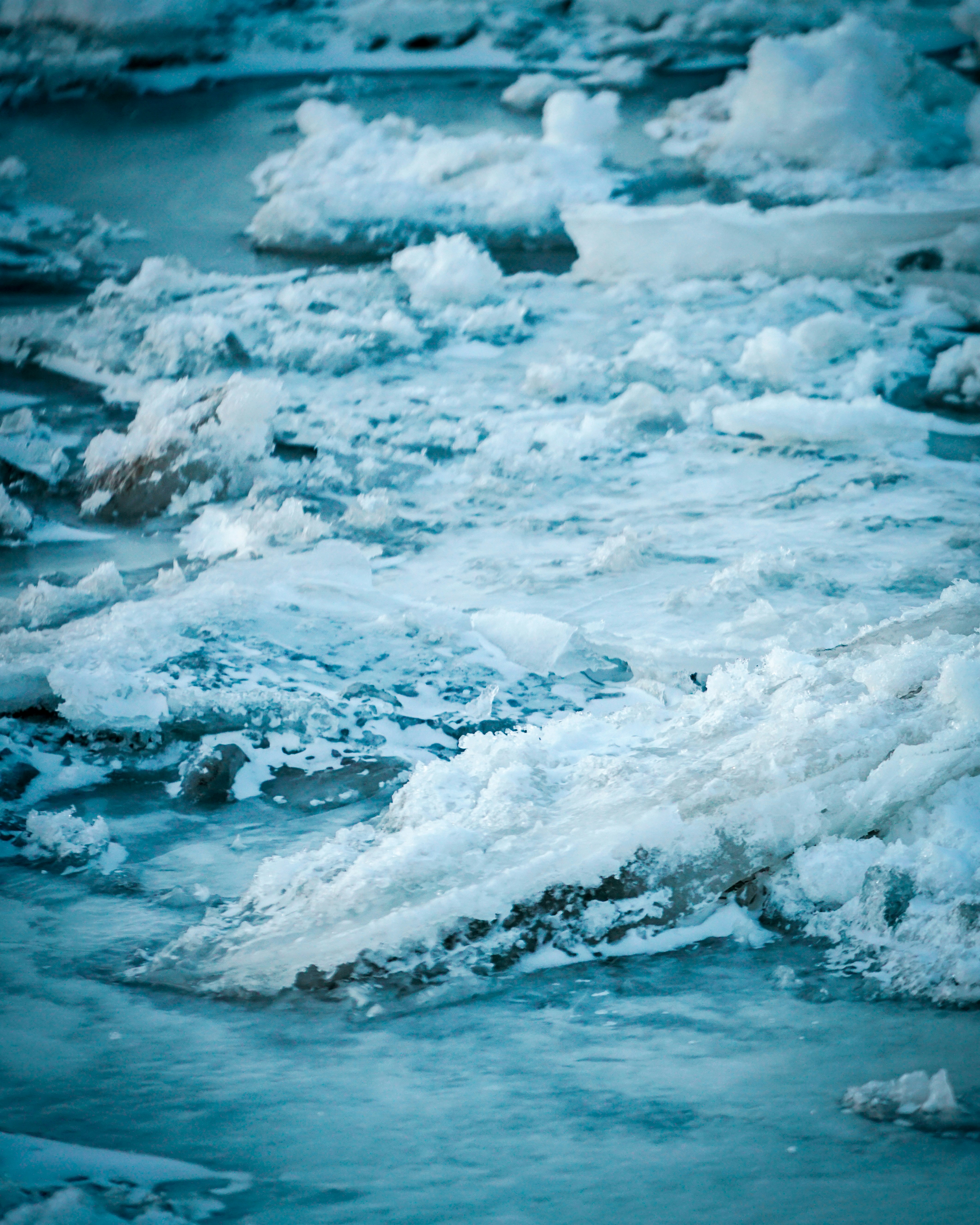 Photo by fotoalchemy