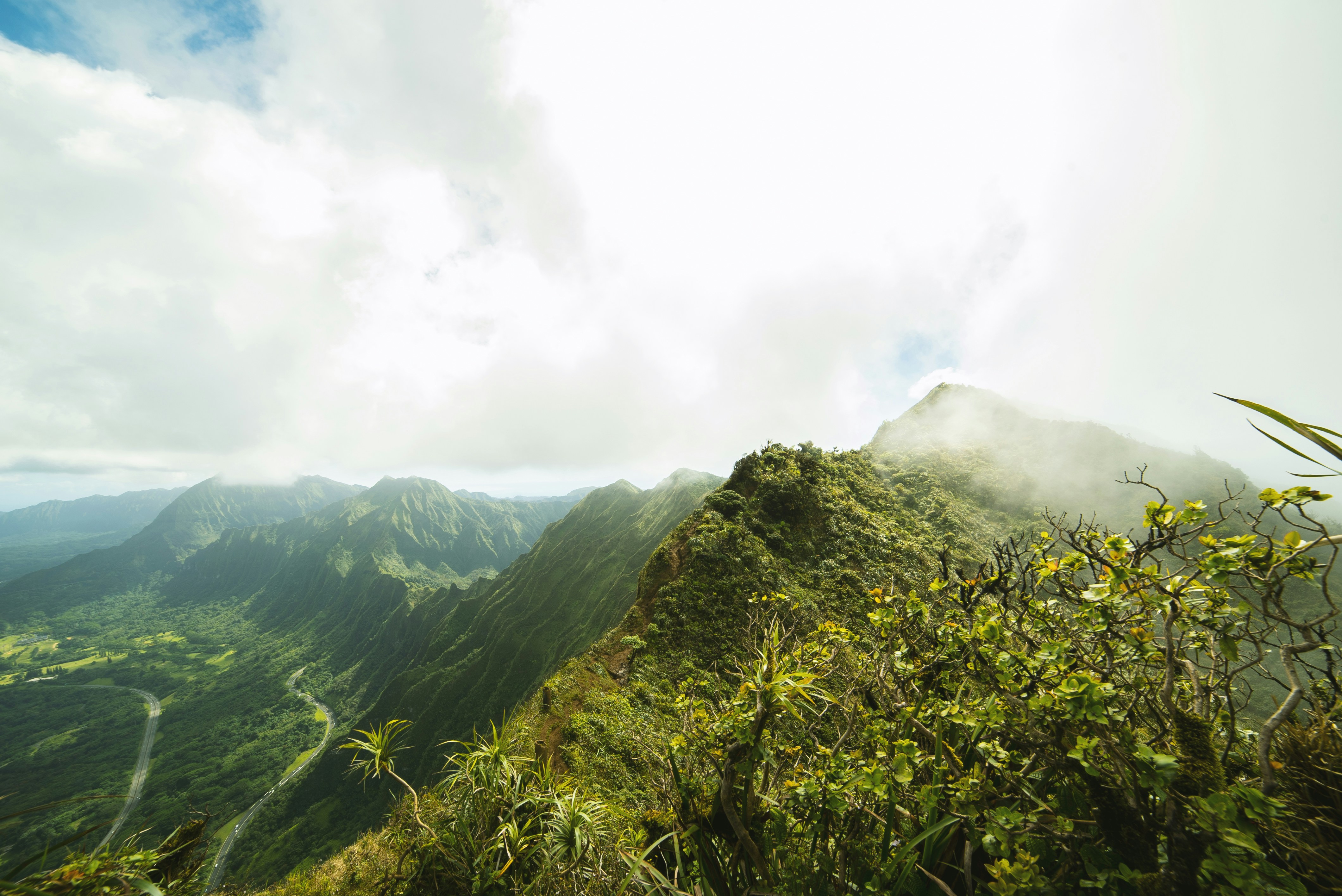 Photo by davidemrich