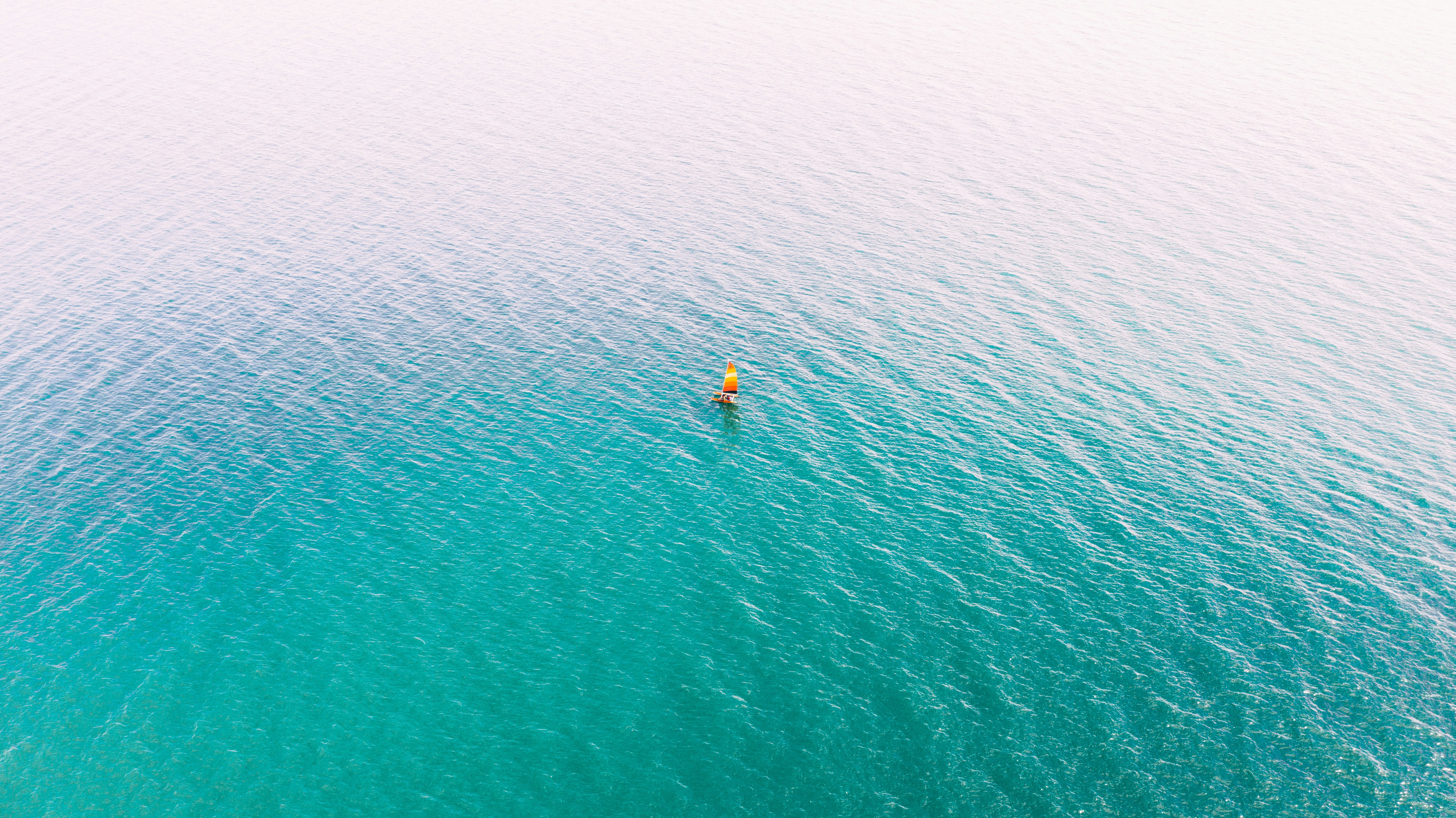 Définition de libéroligneux Dictionnaire français