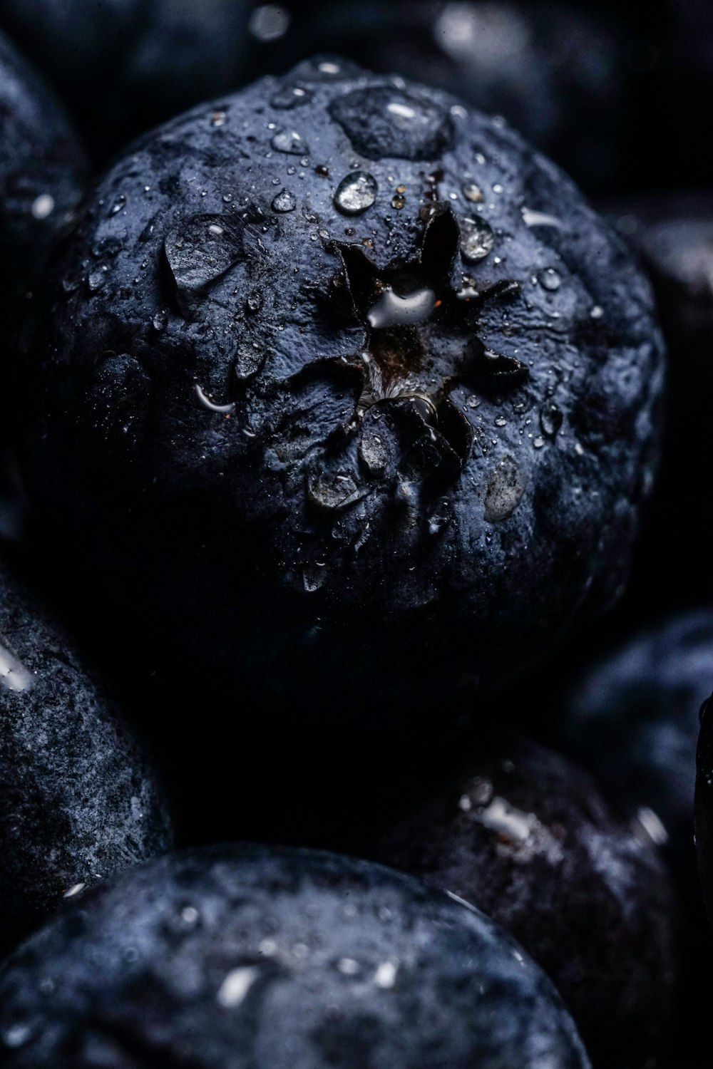 a pile of blueberries with water droplets on them