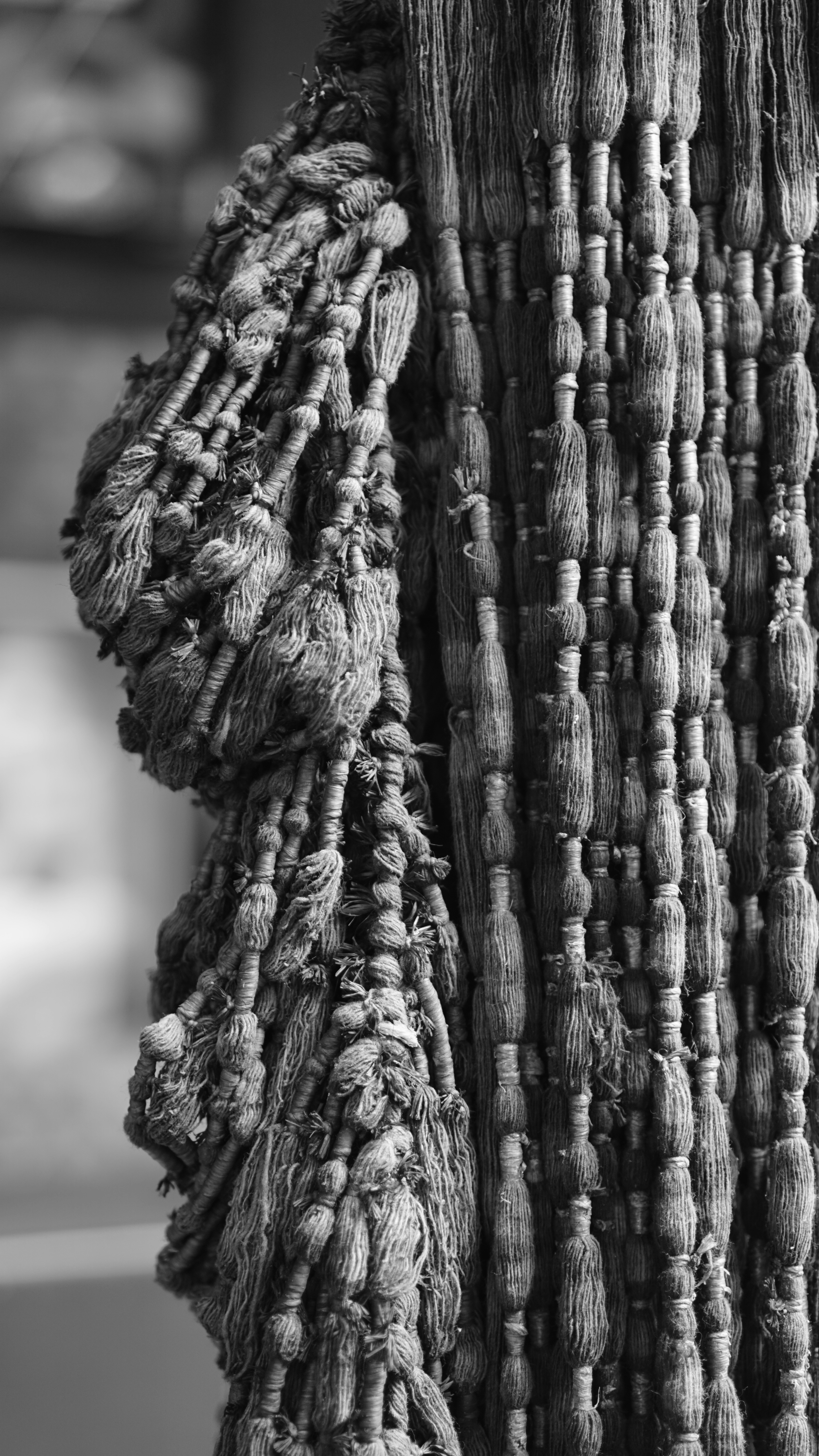 Photo by suryaproject