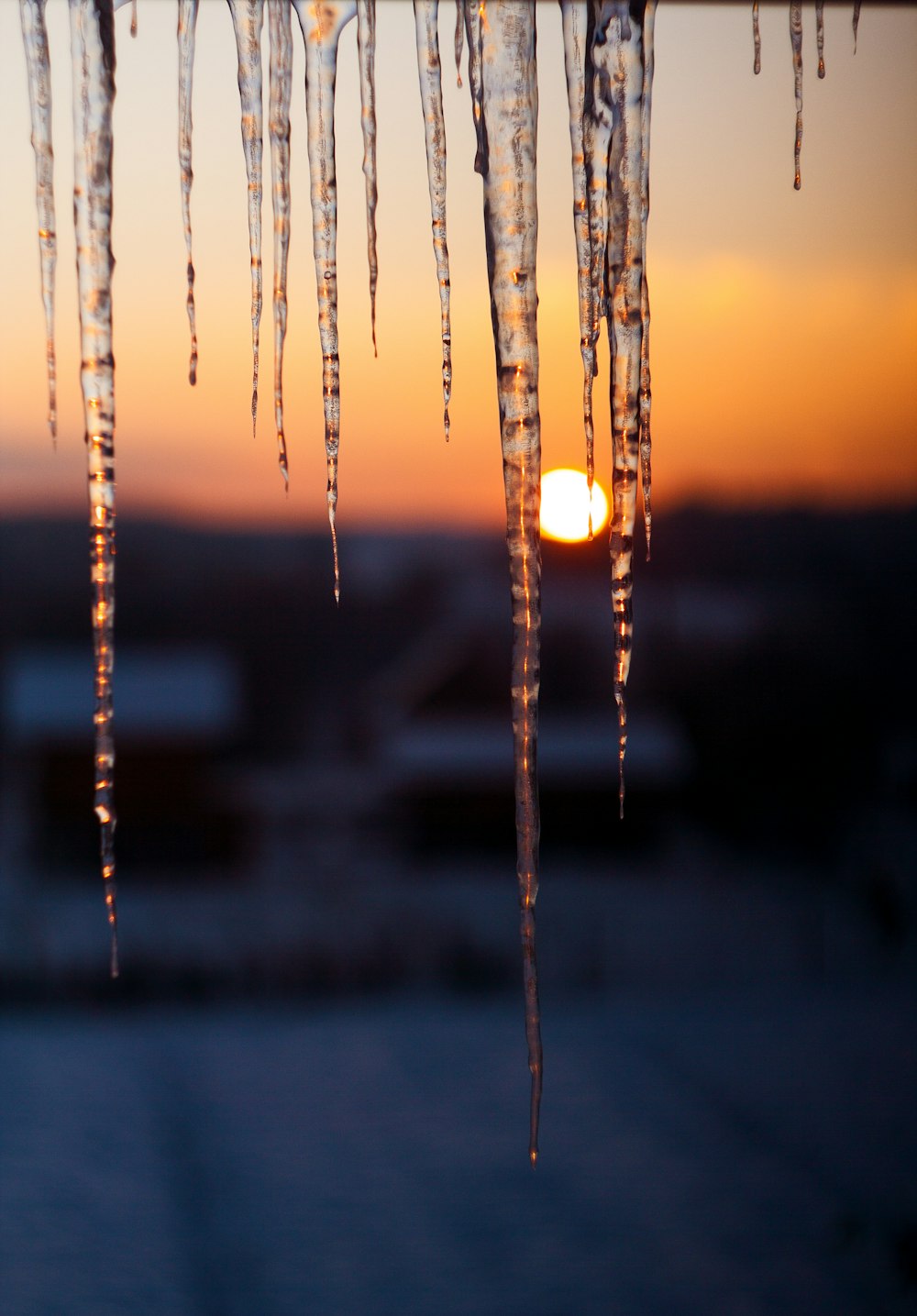 shallow focus photo of ice