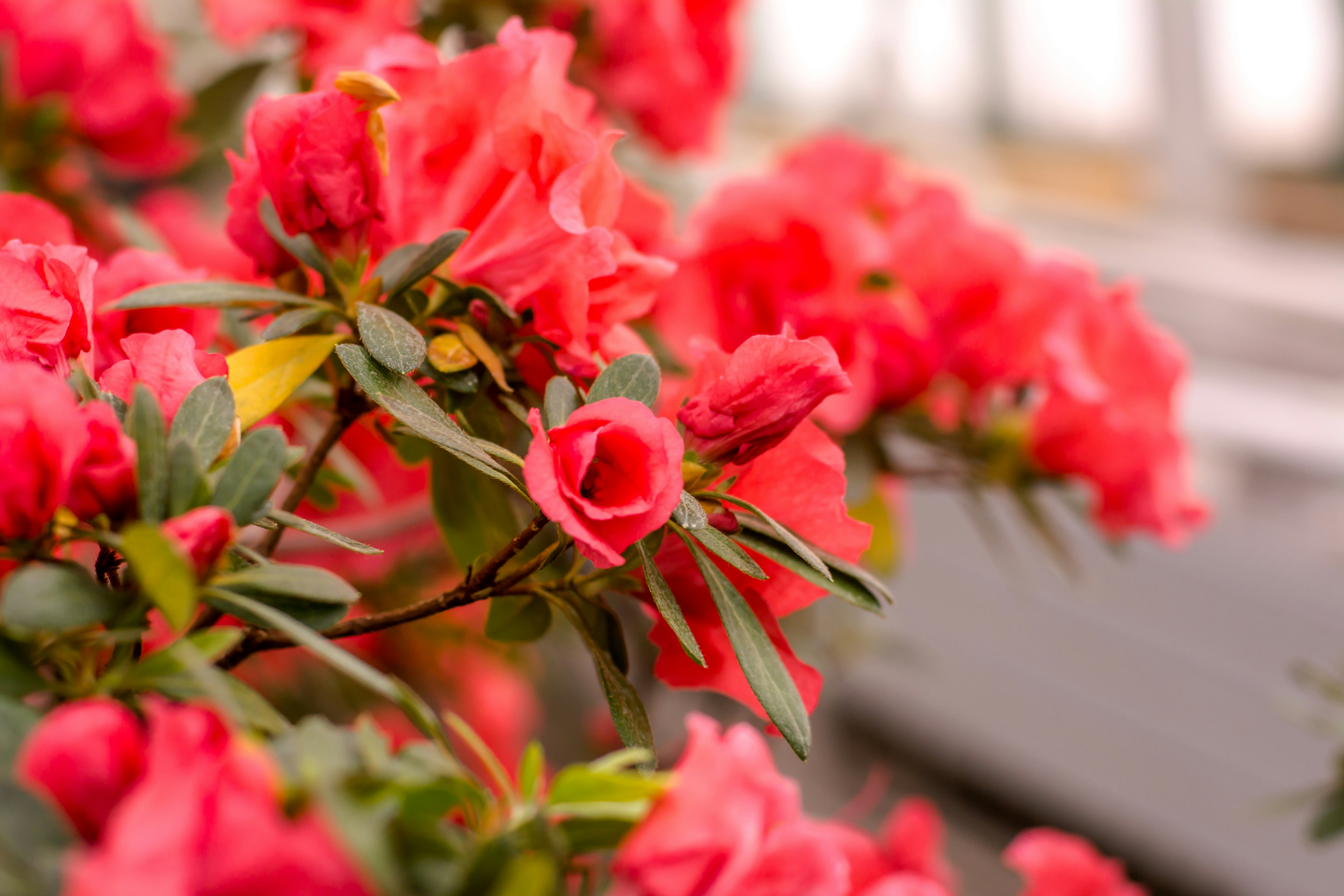 Photo by eugenivy_now